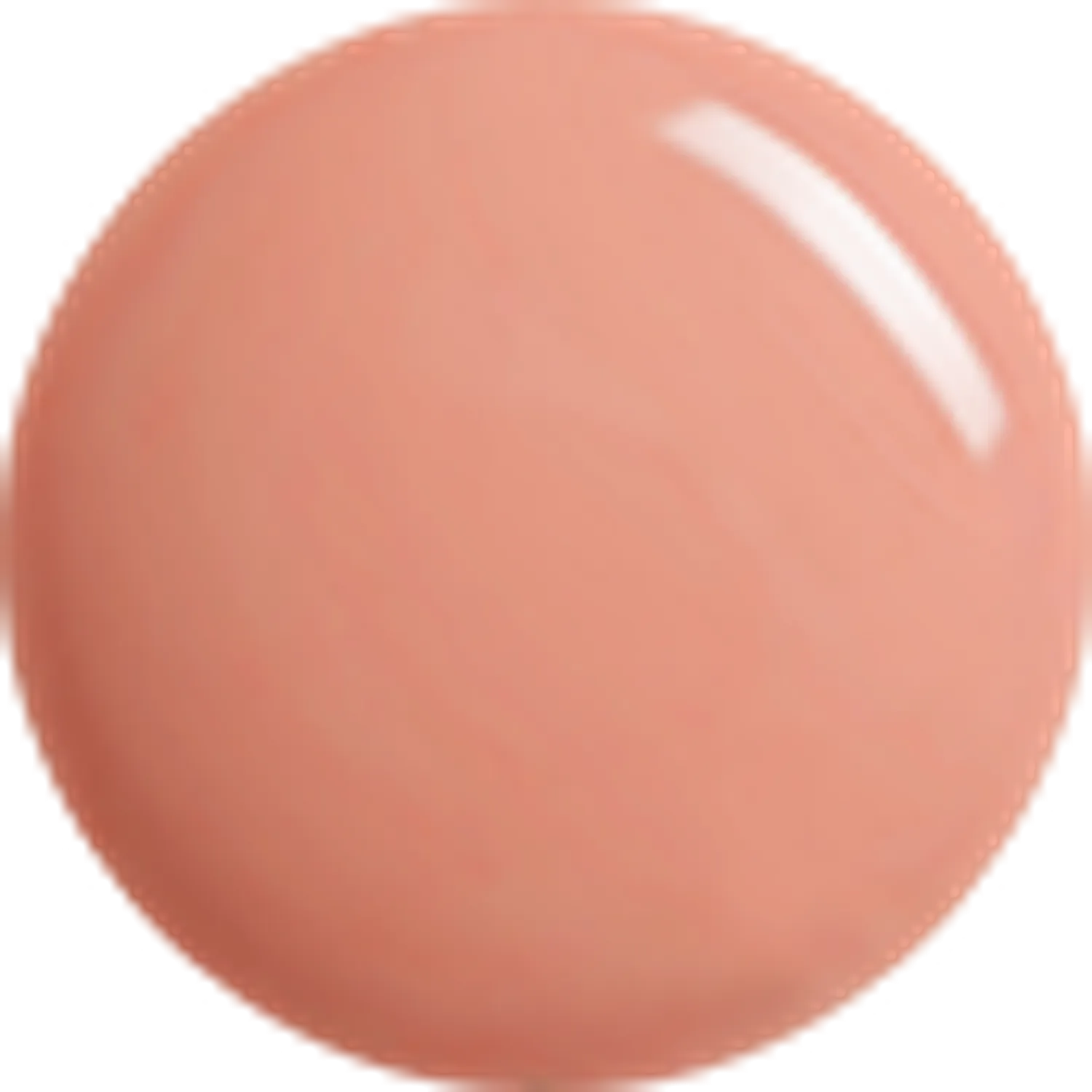 BRAYE Nano Cushion 18g