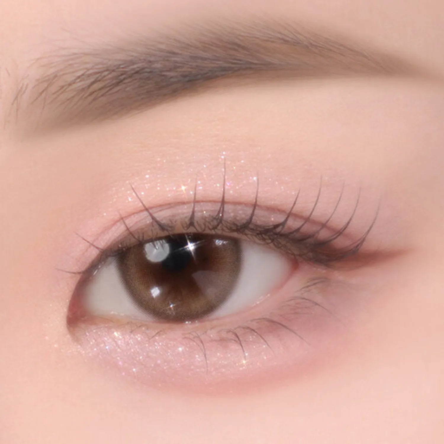 BBIA Essential Eye Palette