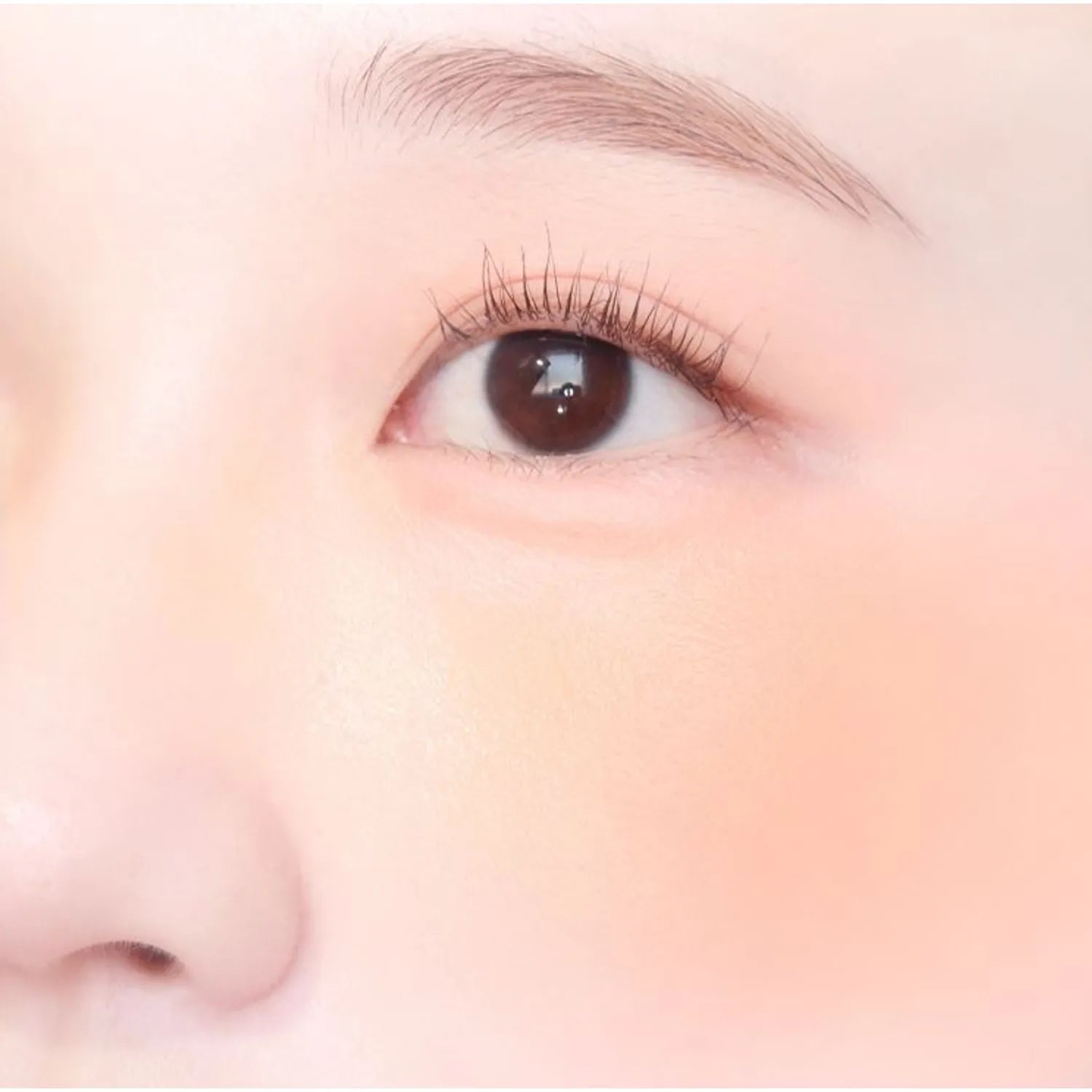 colorgram Tintin Dory Duo Blusher