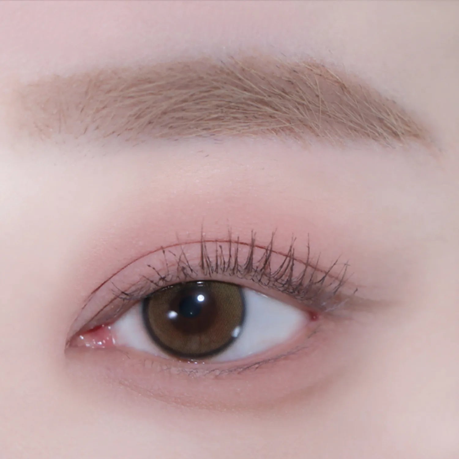 andear Single Eye Shadow (6 Colors)
