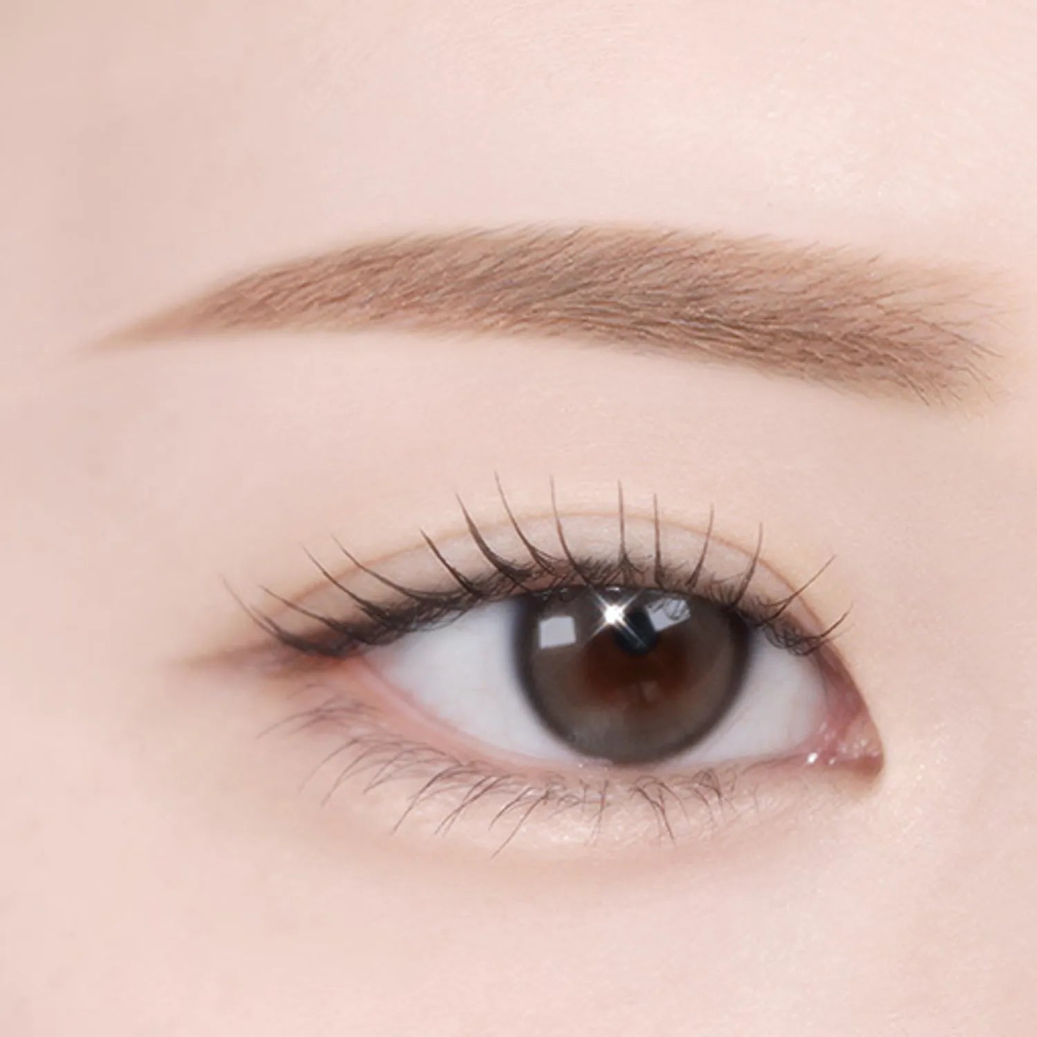 TWOSLASHFOUR Shining Brow Color Cara (3 Colors)
