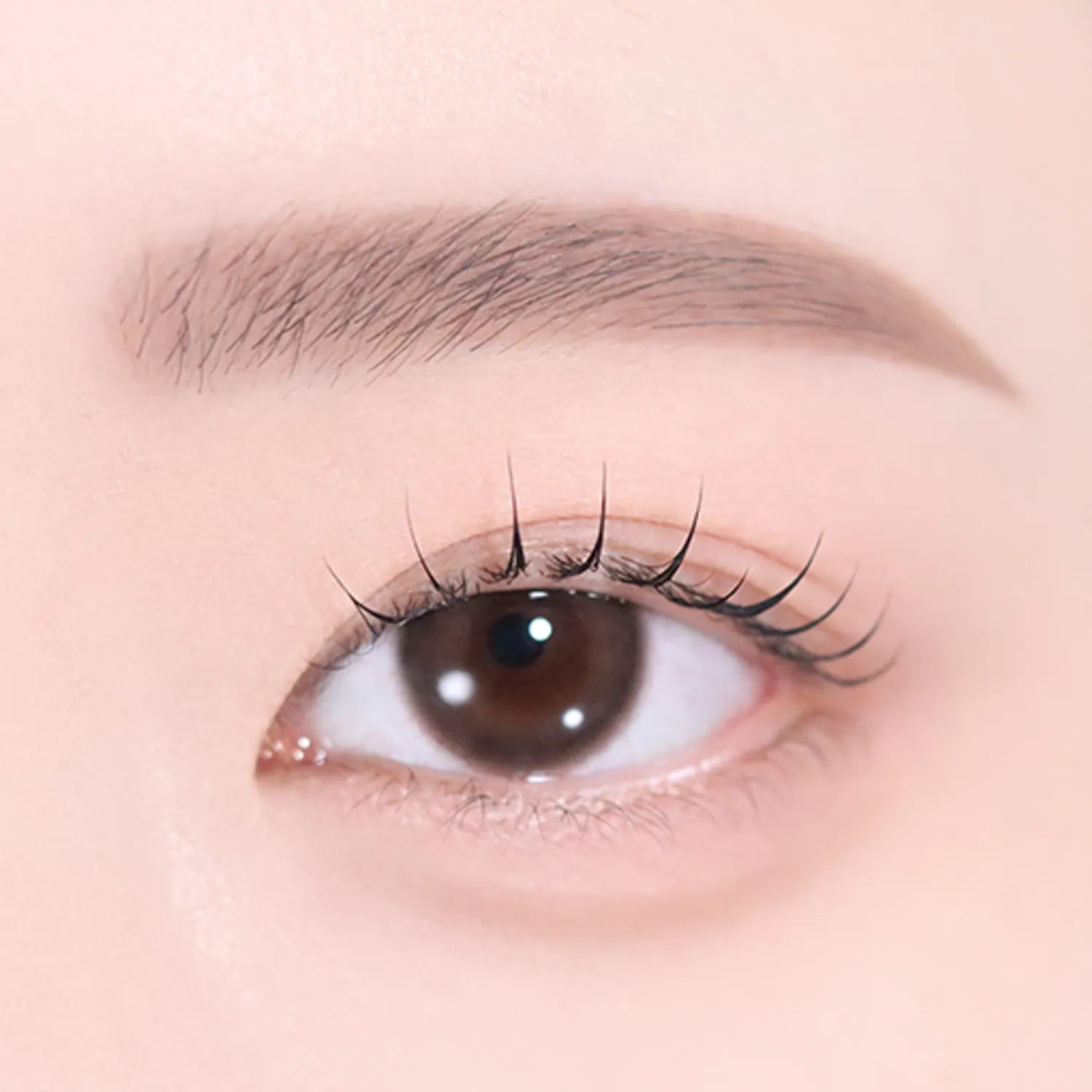 2aN Art Coloring Brow Pencil (5 Colors)