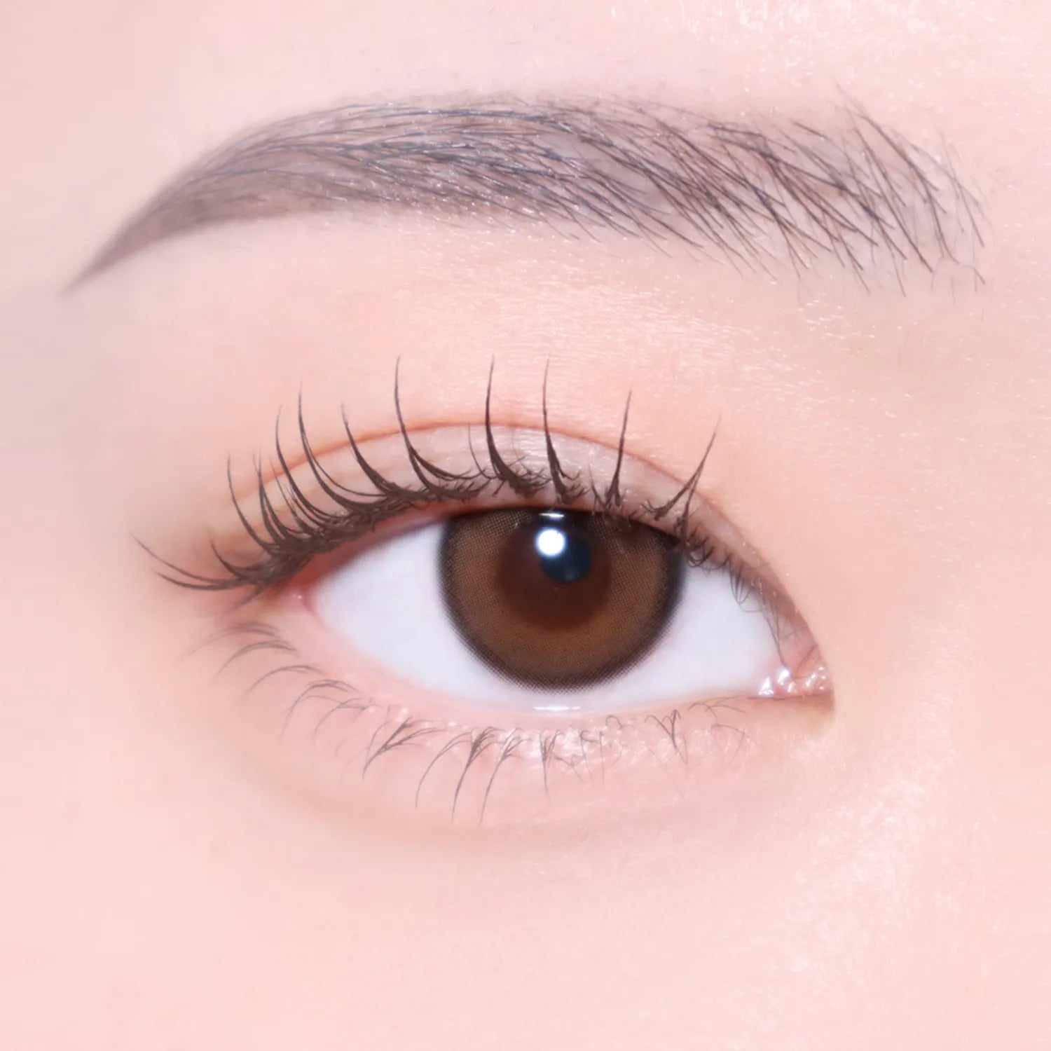 MAUVNING Black Bean Biotin Coating Mascara (Black / Brown)