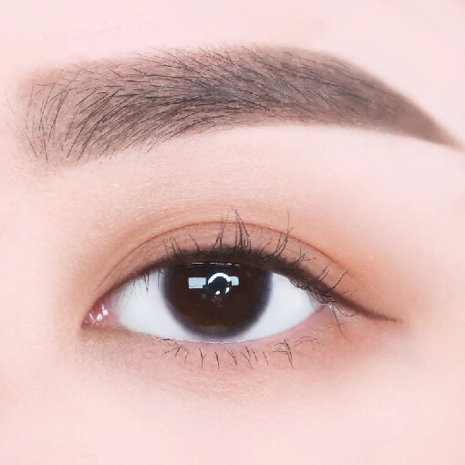 lilybyred Hard Flat Brow Pencil (4 Options)