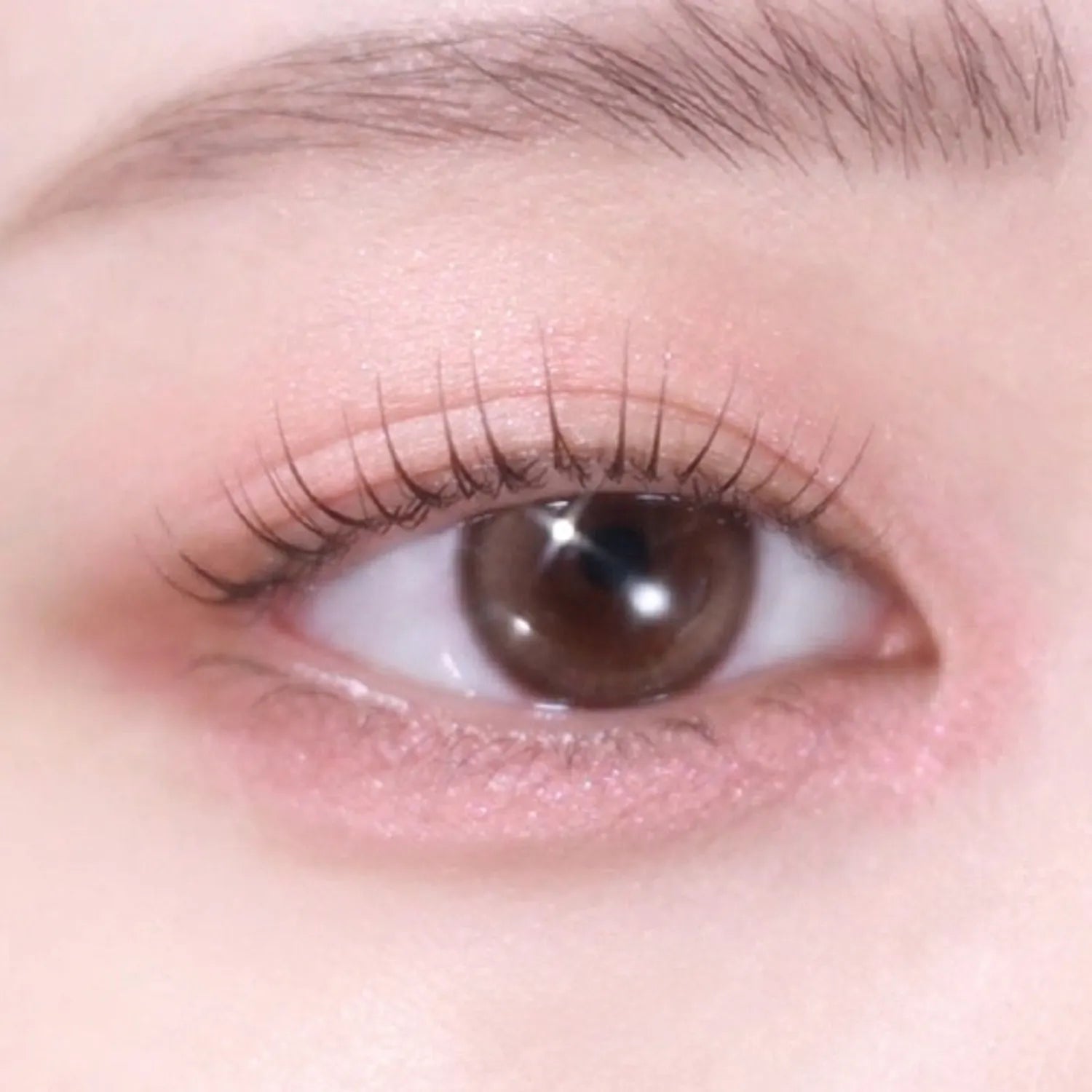 2aN Color Play Dual Liner (5 Colors)