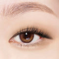 ABOUT_TONE Return To Basic Shadow Palette 6 Options