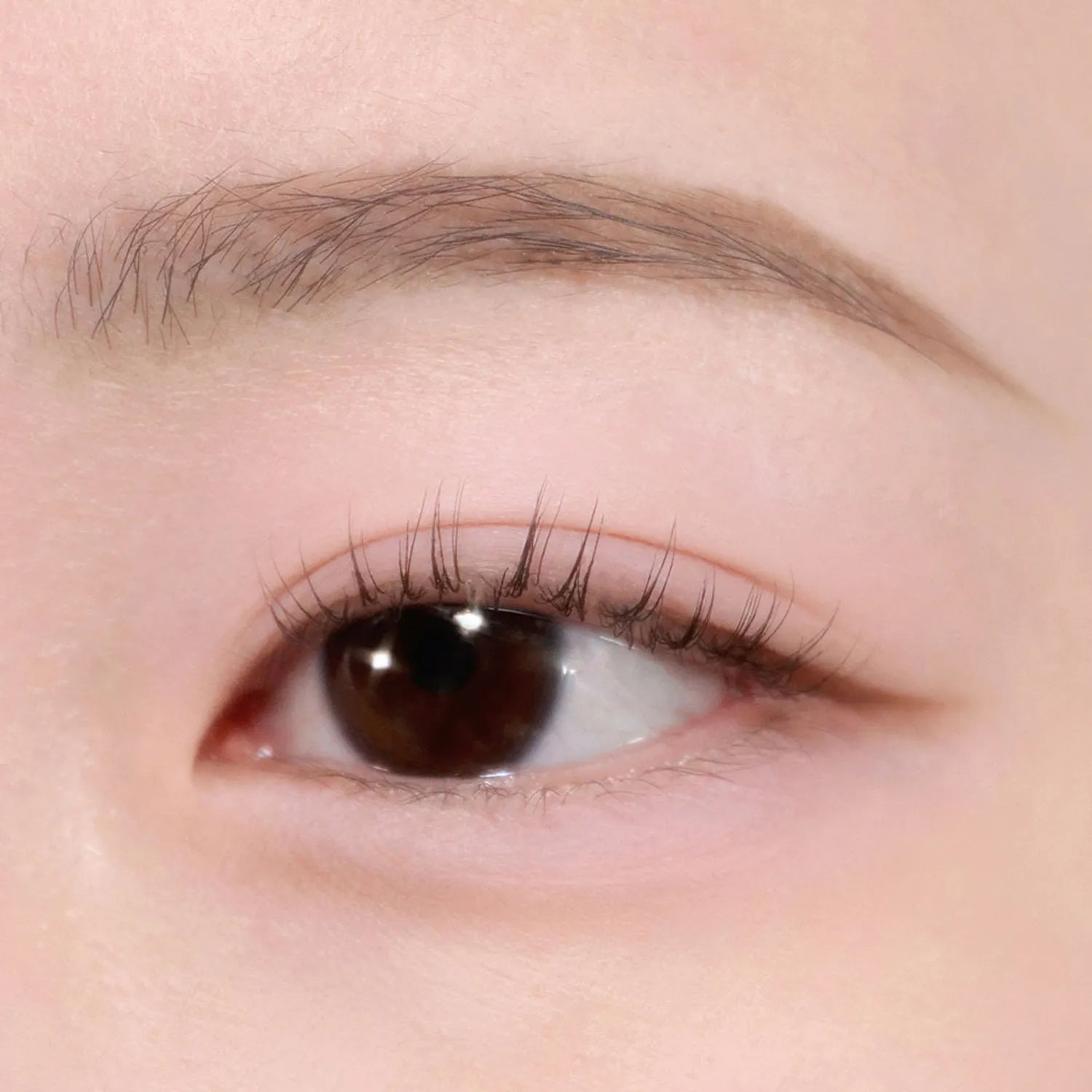 MISSHA Modern Shadow