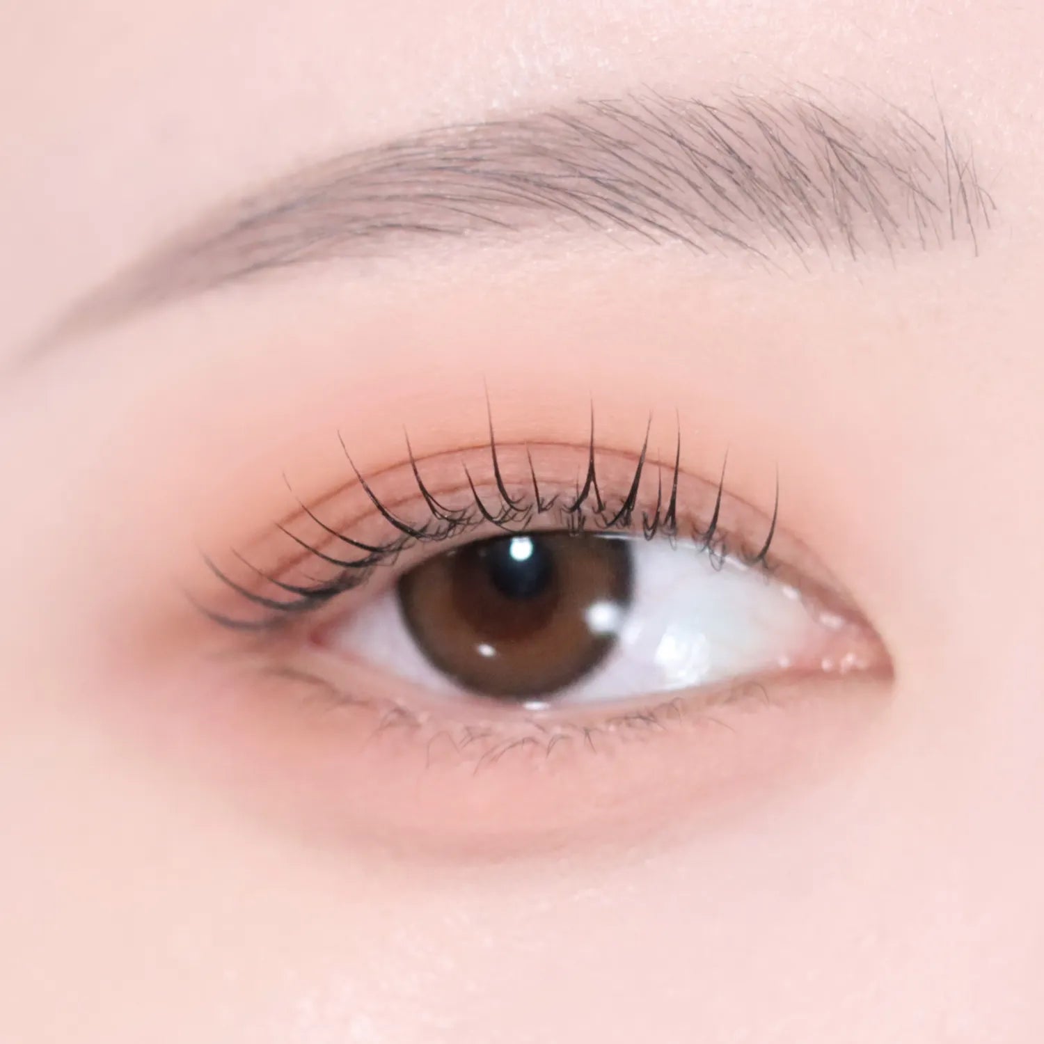 VDL Eyestain Essential Shadow Duo