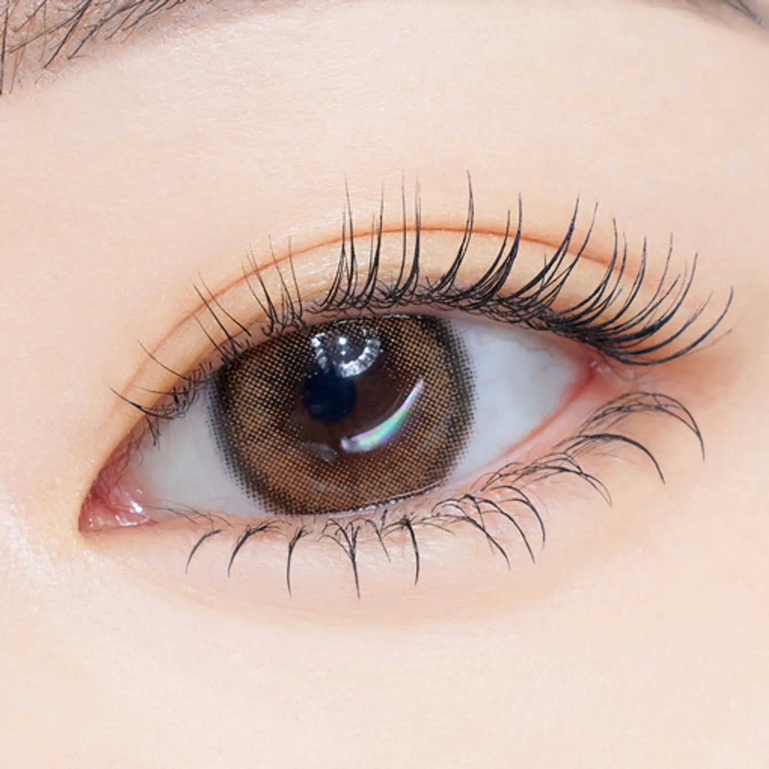 ETUDE Curl Fix Mascara 1+1 Set (4 Options)