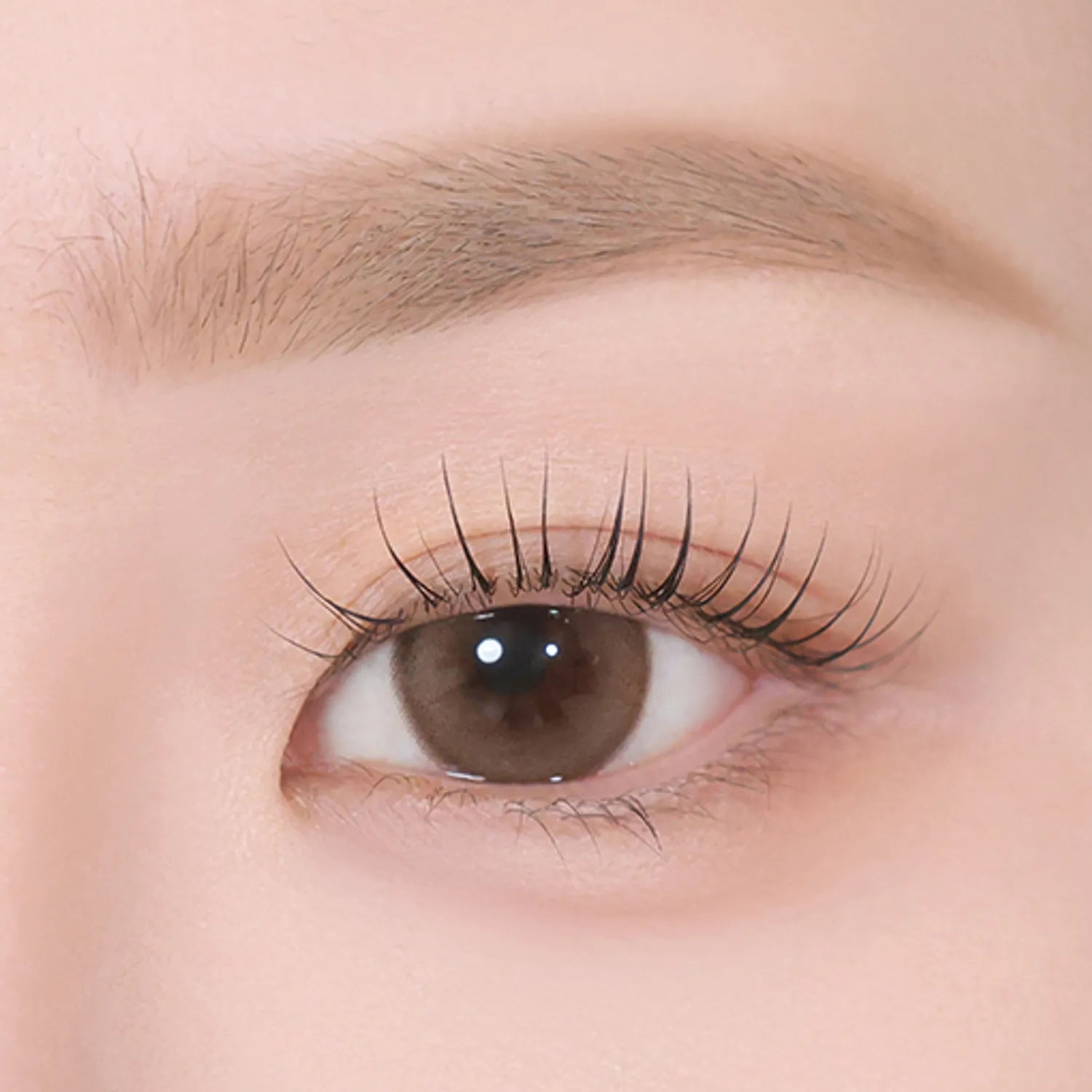 eglips All Shade Dual Brow & Fixer (6 Options)