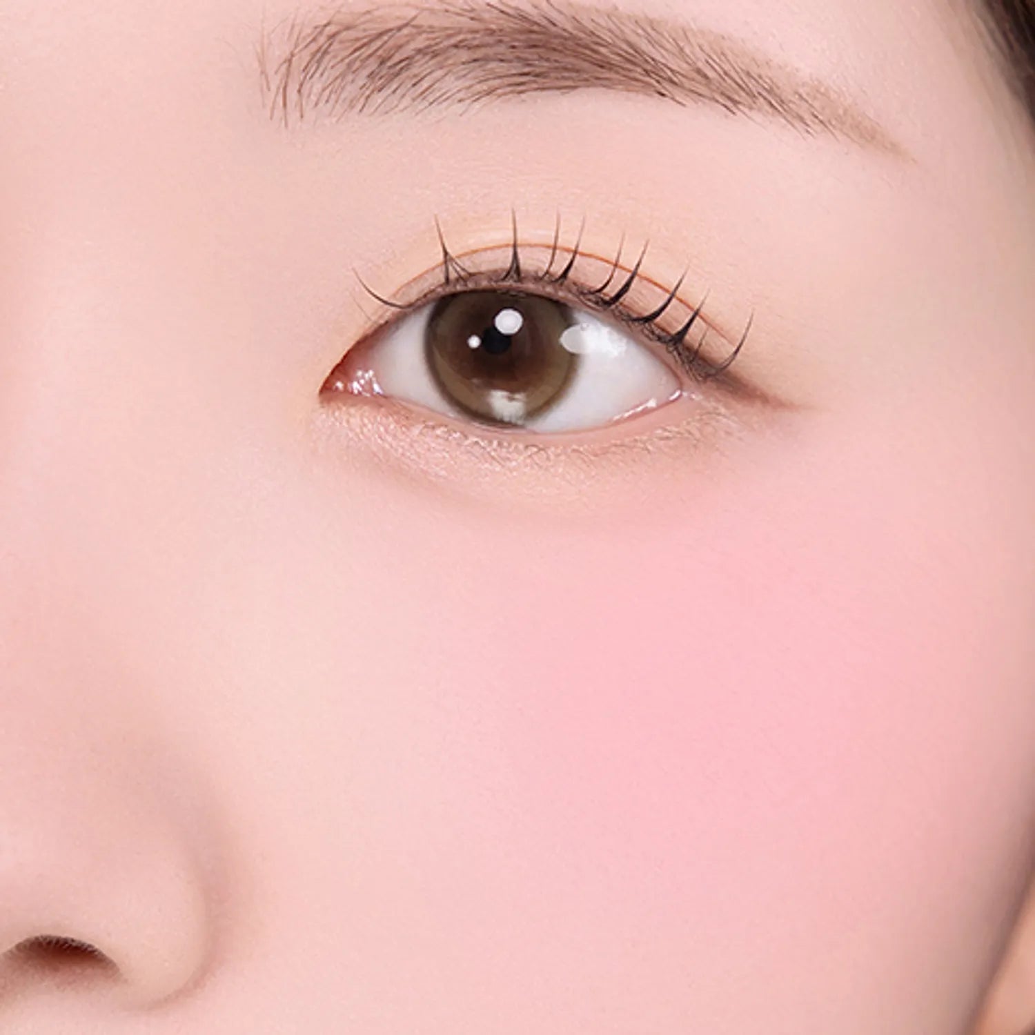 2aN Dual Cheek (Set/Single) (19 Colors)