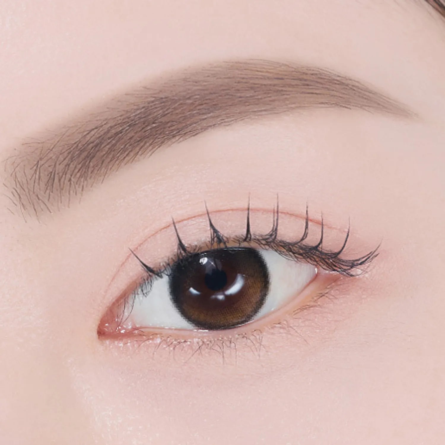 ETUDE Control Slide Brow 0.17g (5 Colors) (Set/Single)