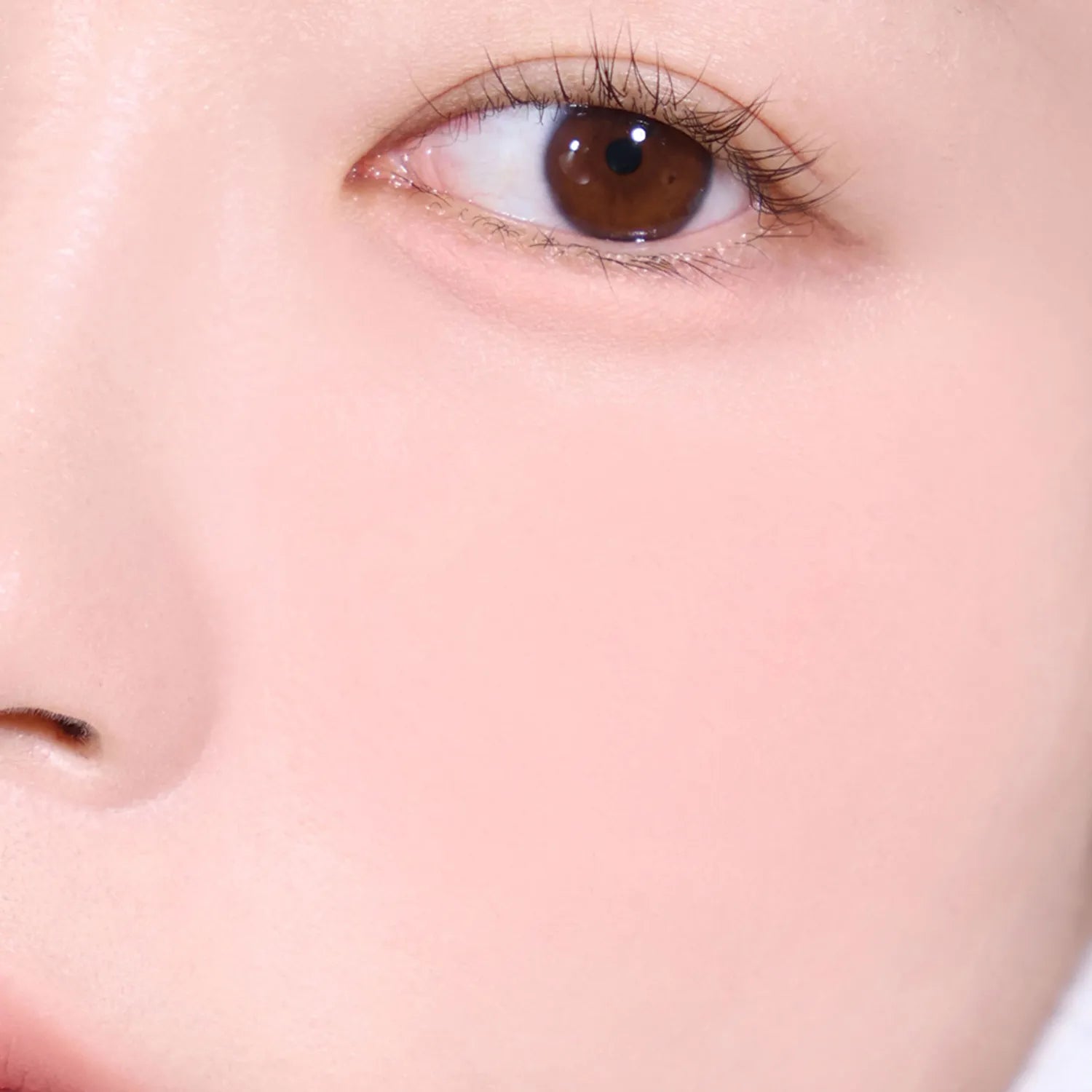 espoir Blur Wear Blush 6g (6 Colors)