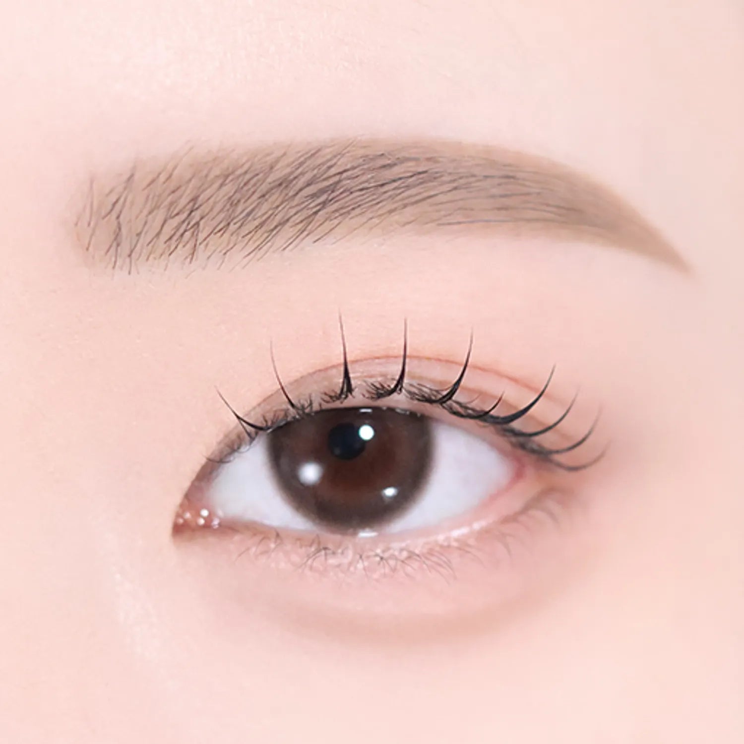 2aN Art Coloring Brow Pencil (5 Colors)