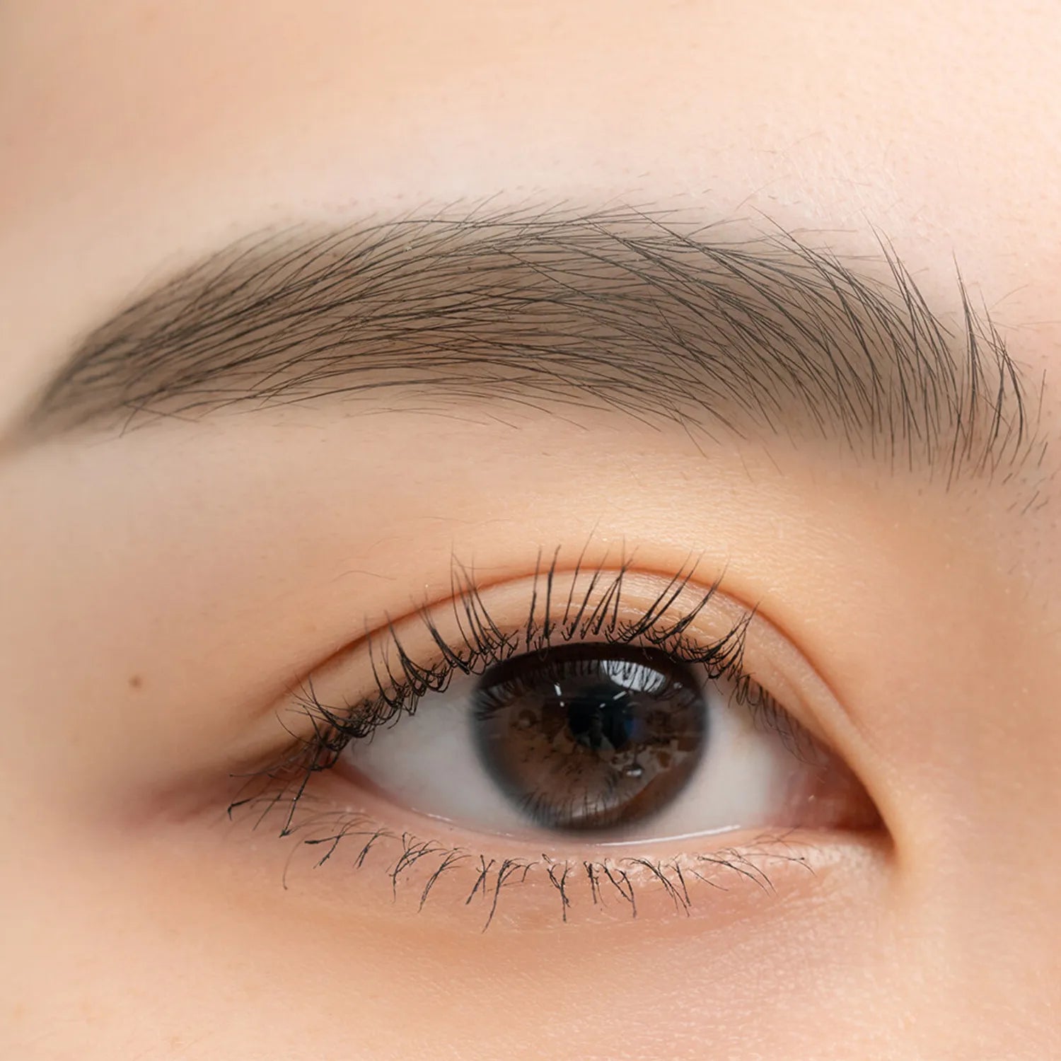 rom&nd Han All Sharp Brow (6 Colors)