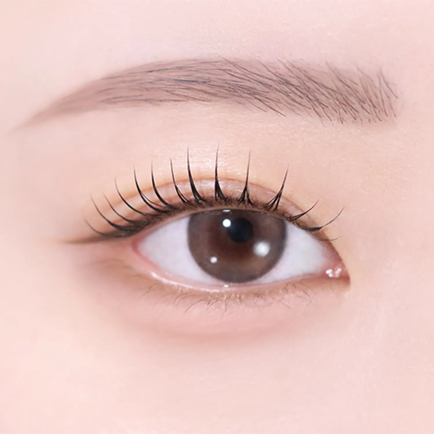NAMING. Perpectail Eye Designing Pencil Slim Liner (Set/Single) (11 Colors)