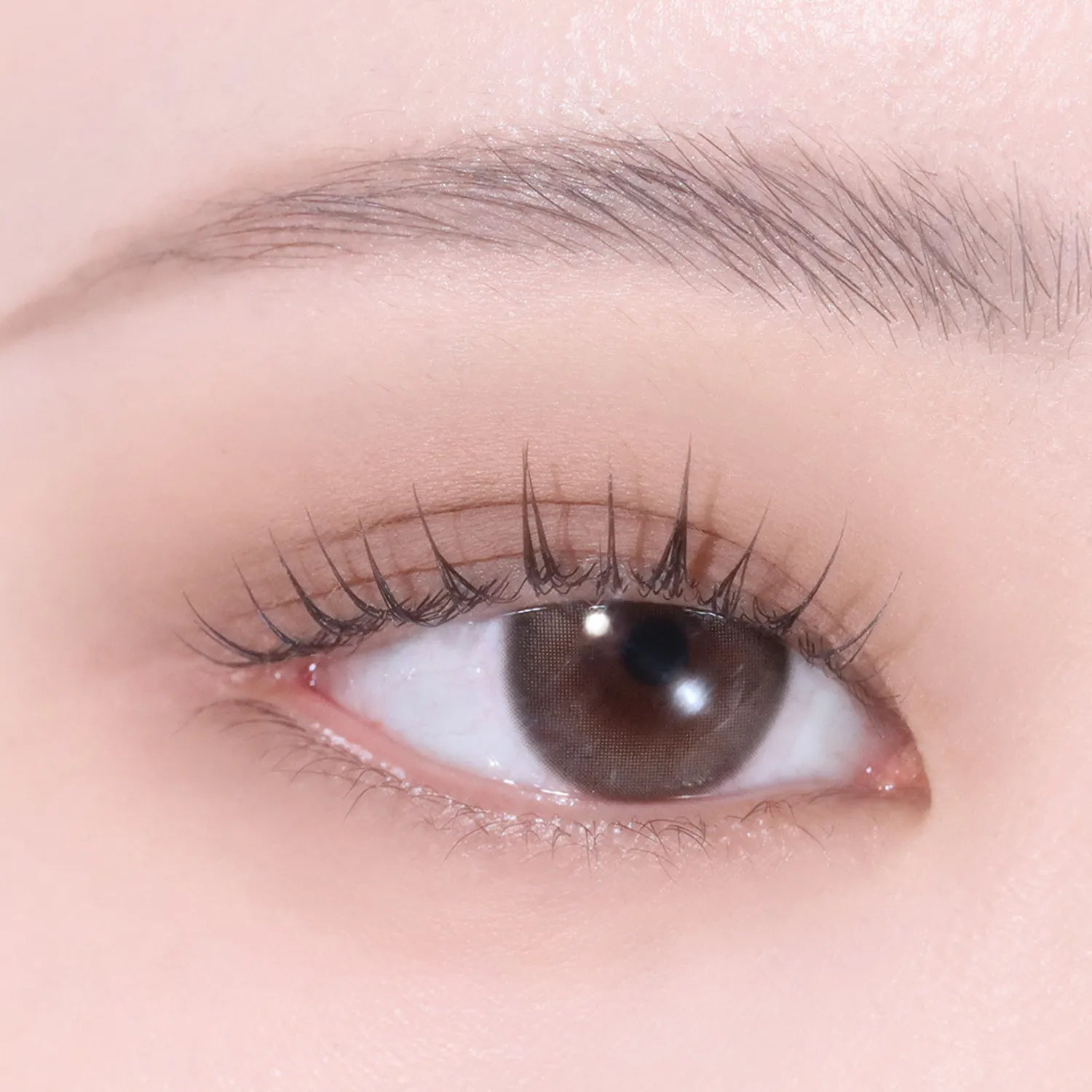 hince Single Eyeshadow (25 Colors)