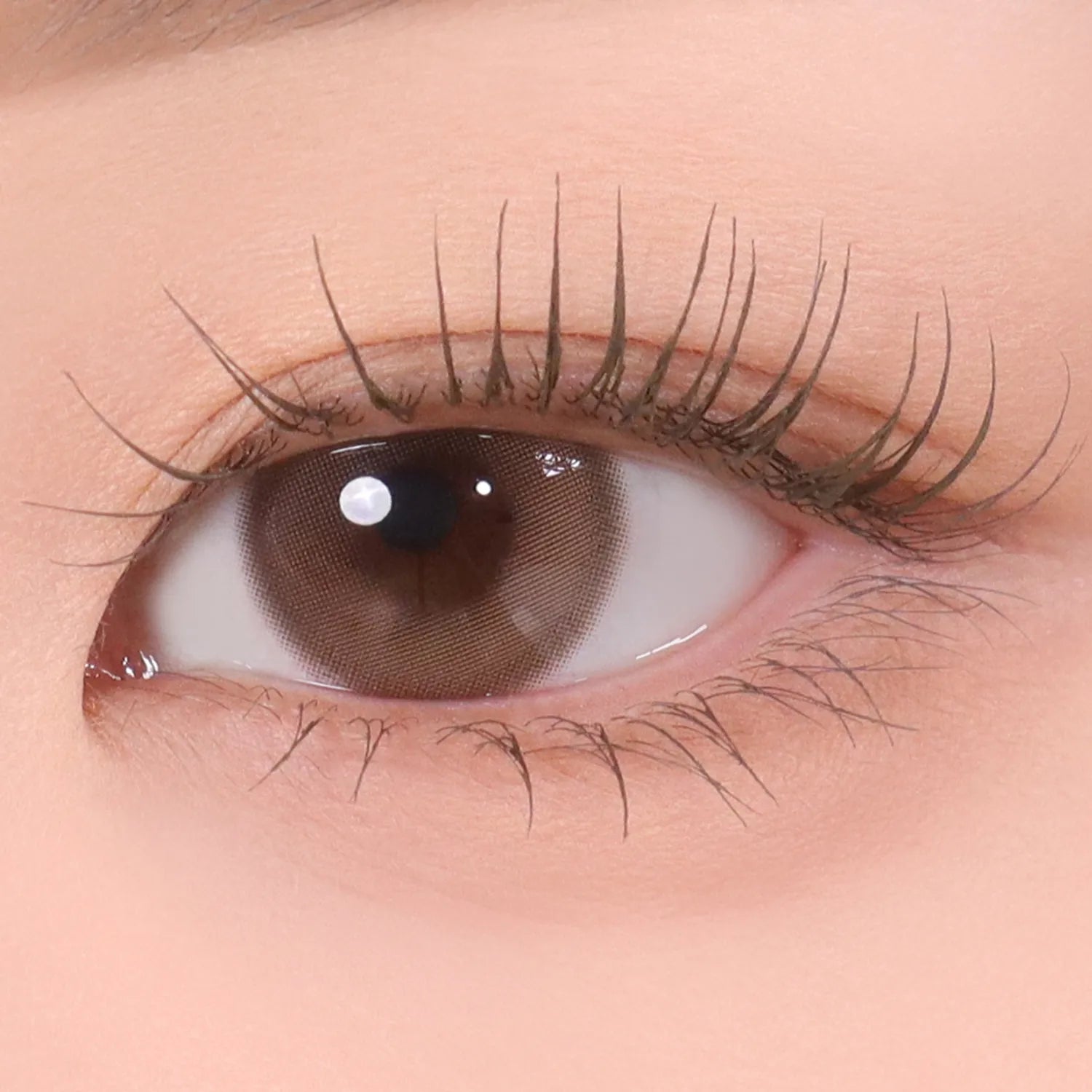 mude. Inspire Skinny Curling / Multi Fixer Mascara (12 Options)
