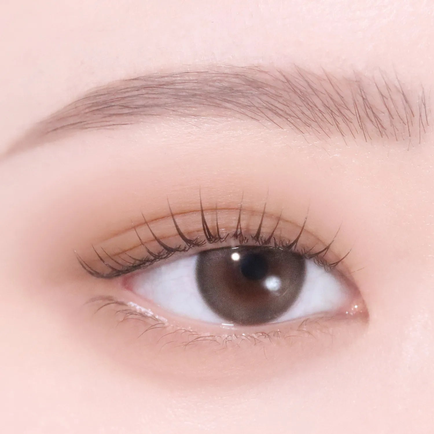 hince Single Eyeshadow (25 Colors)