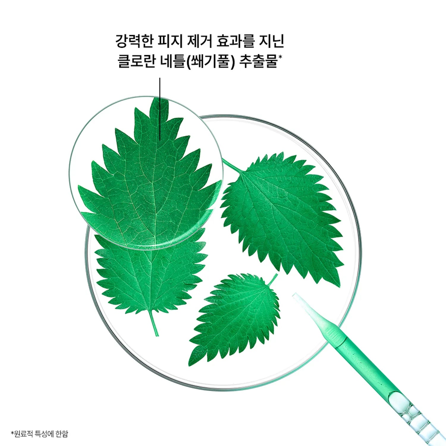 KLORANE Nettle No Sebum Shampoo 400mL (for oily scalp)