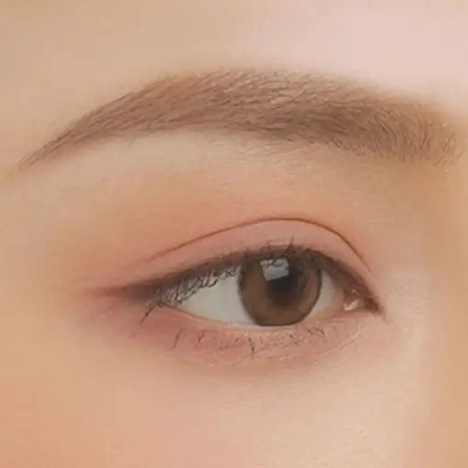3CE Multi Eye Color Palette (14 Colors)