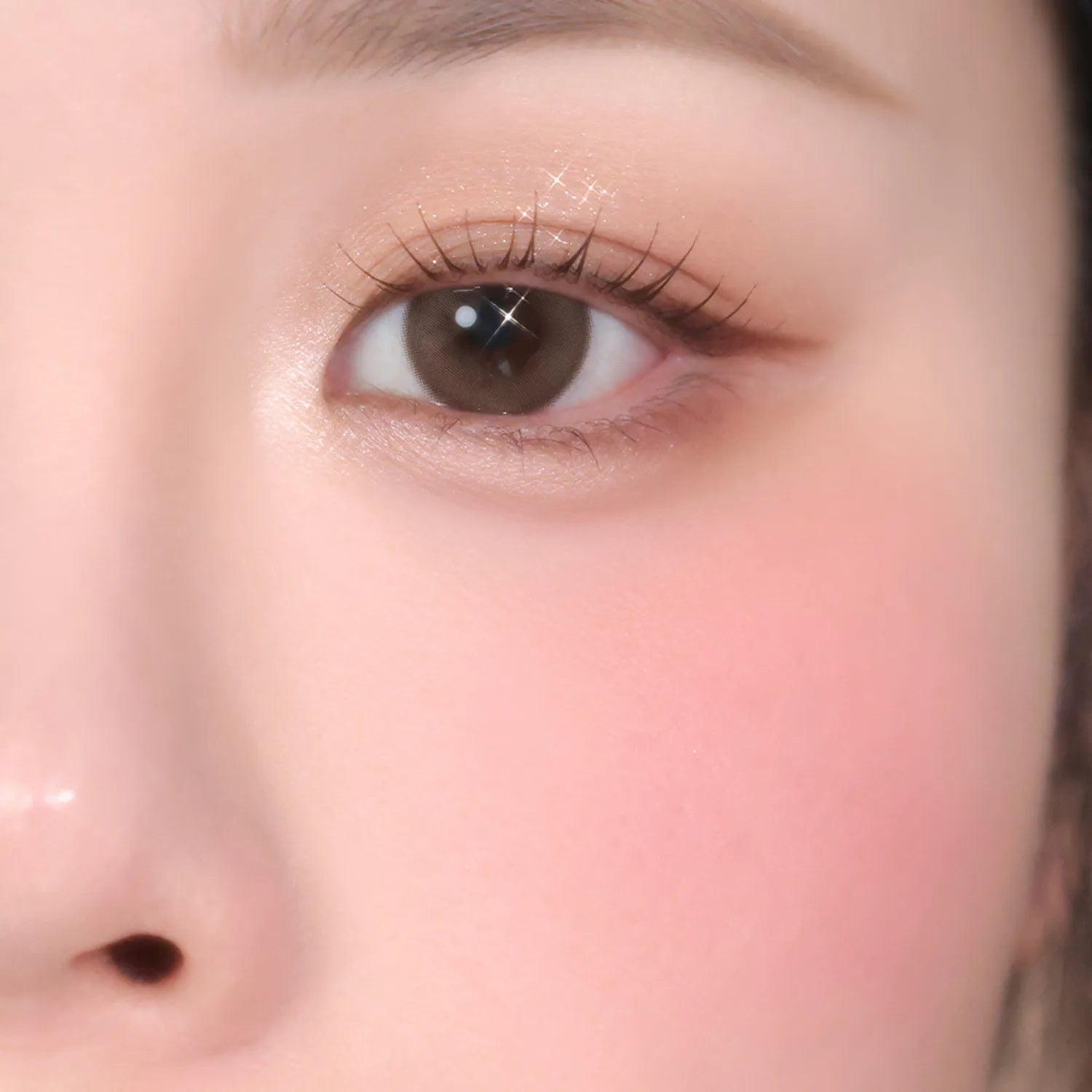 Wonjungyo W Daily Mood Up Eye Palette (3 Options)