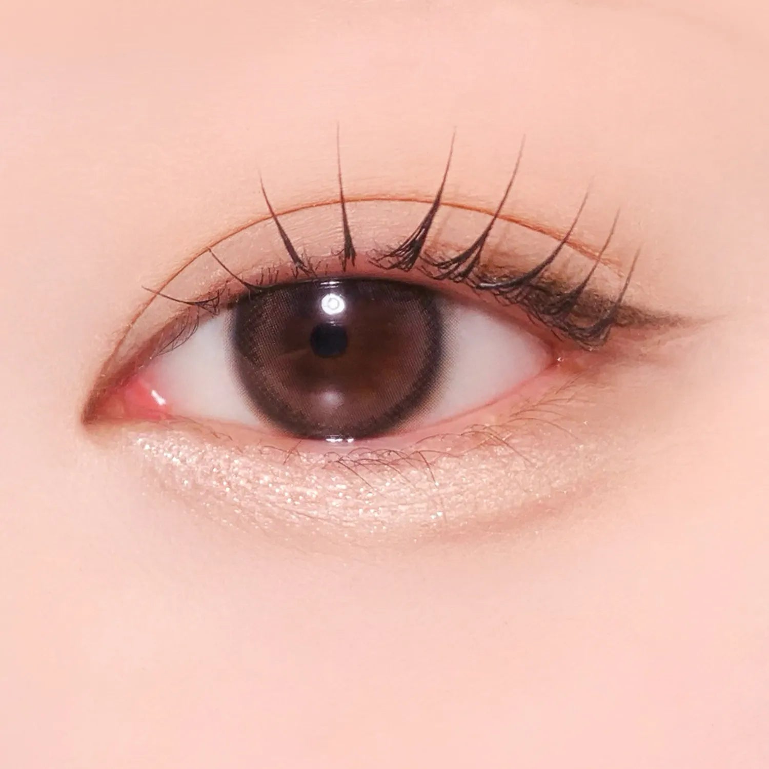 AMUSE Everlasting Eye Pencil (6 Colors)