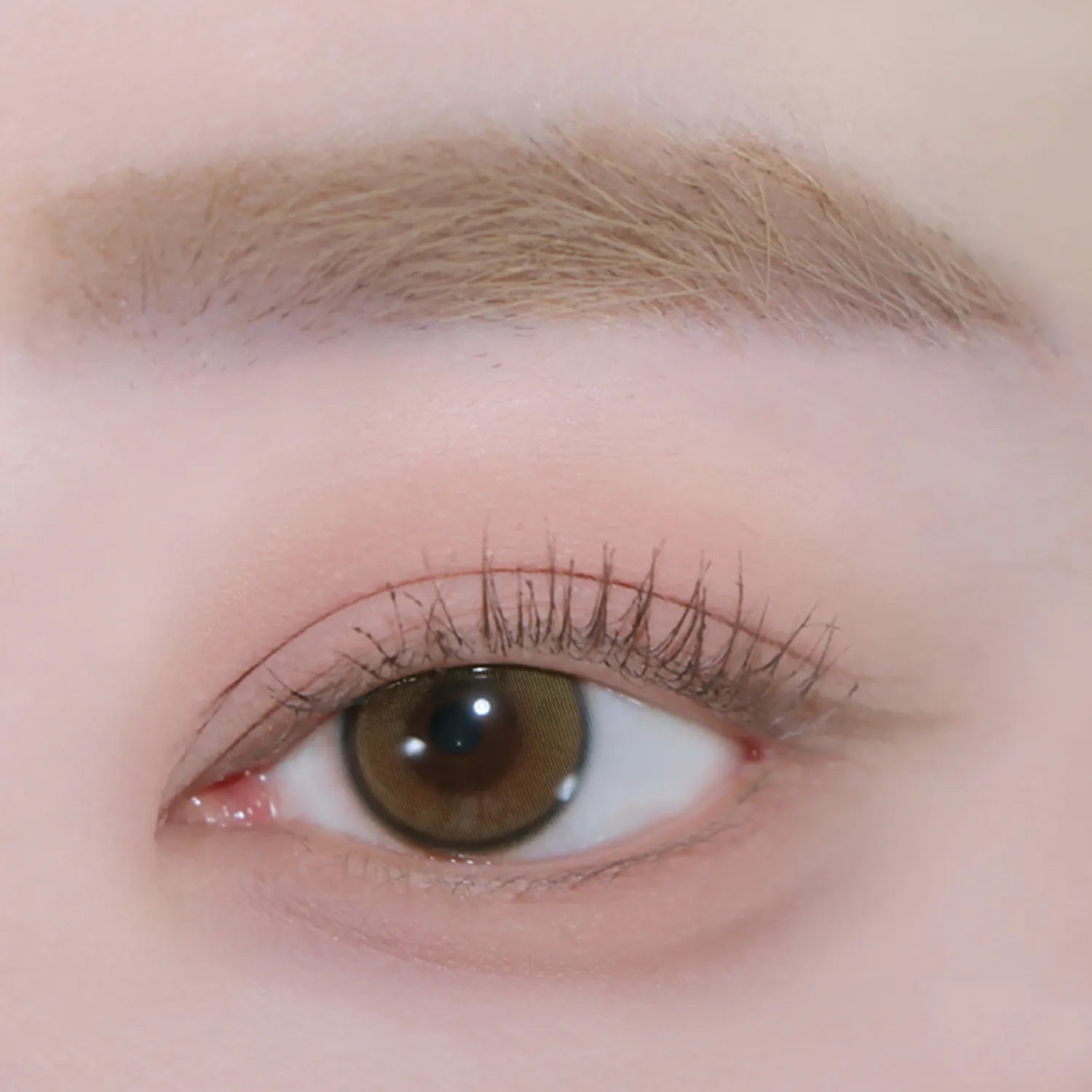 andear Single Eye Shadow (6 Colors)
