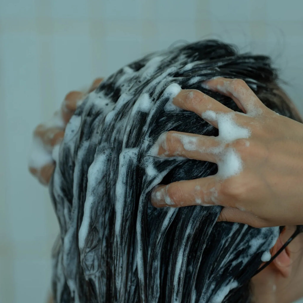 MINTREE Scalp Shampoo 500ml