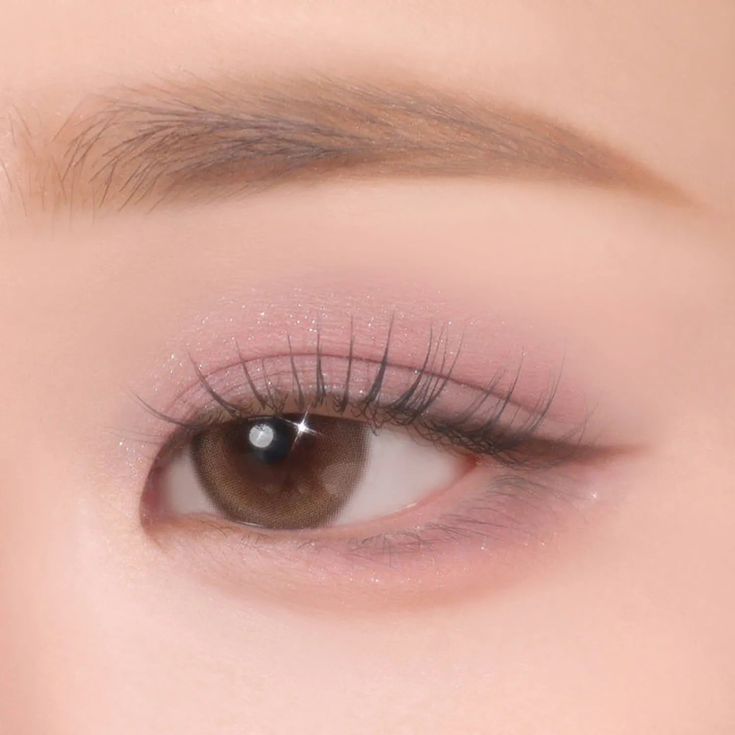 mude. Shawl Moment Eyeshadow Palette 4 Options