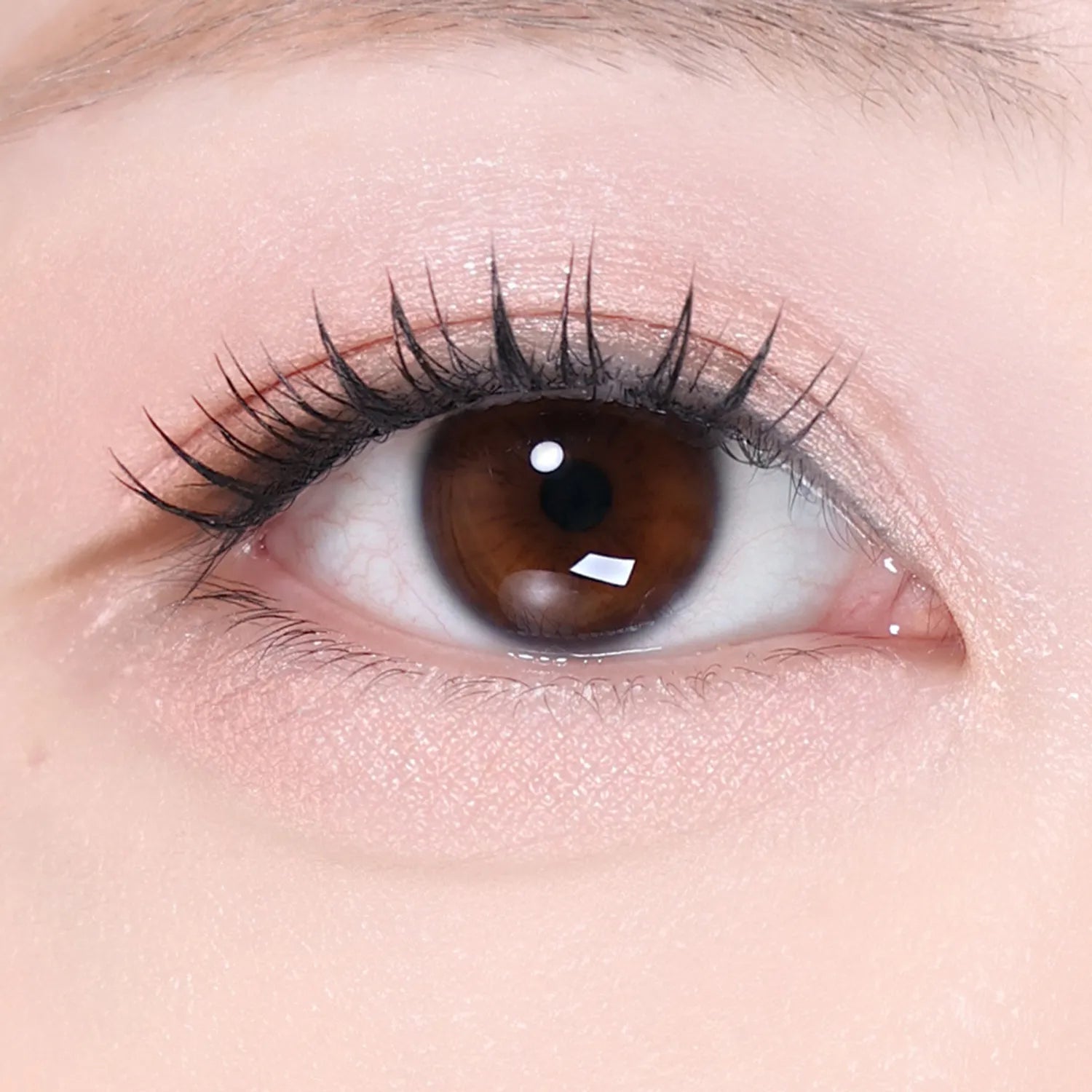 Wonjungyo Nude Eyelash (3 Colors)