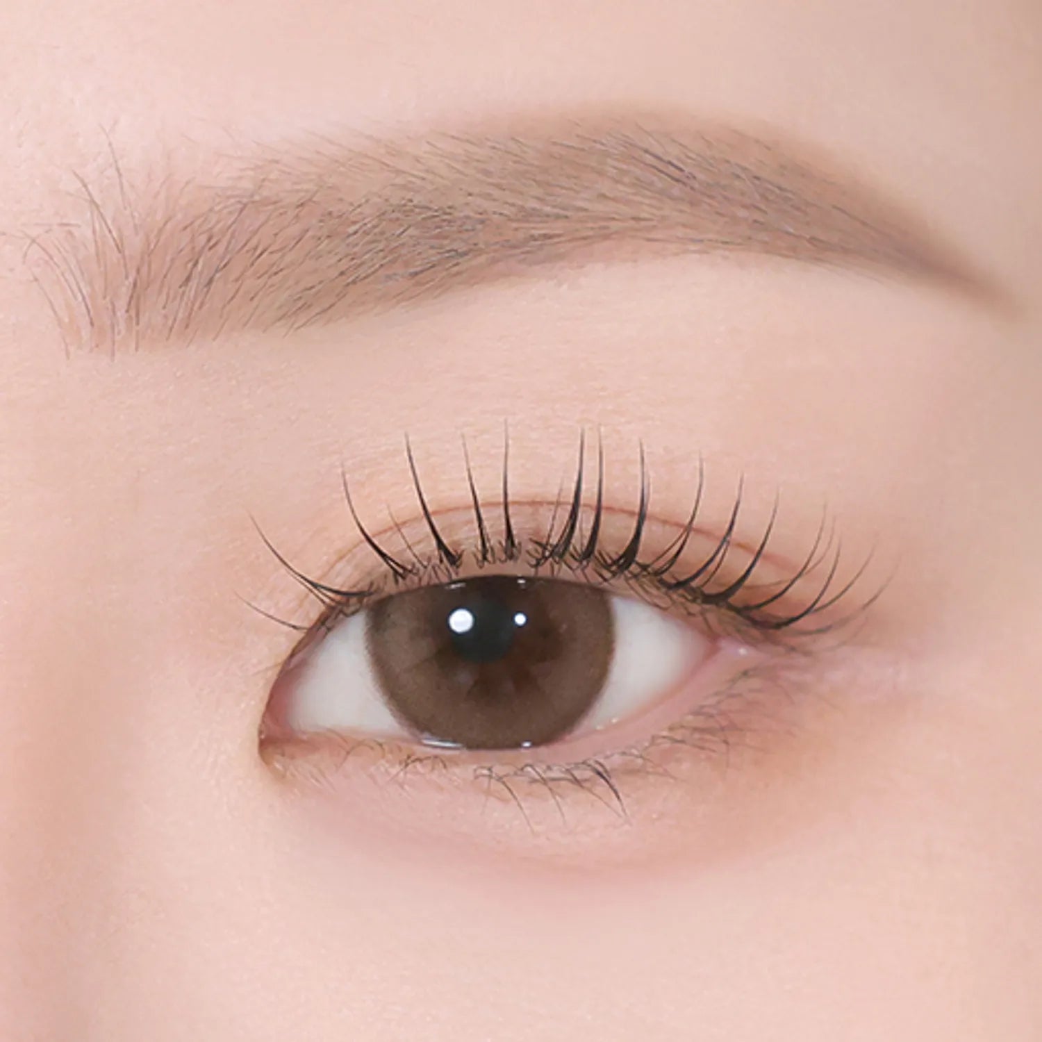 eglips All Shade Dual Brow & Fixer (6 Options)