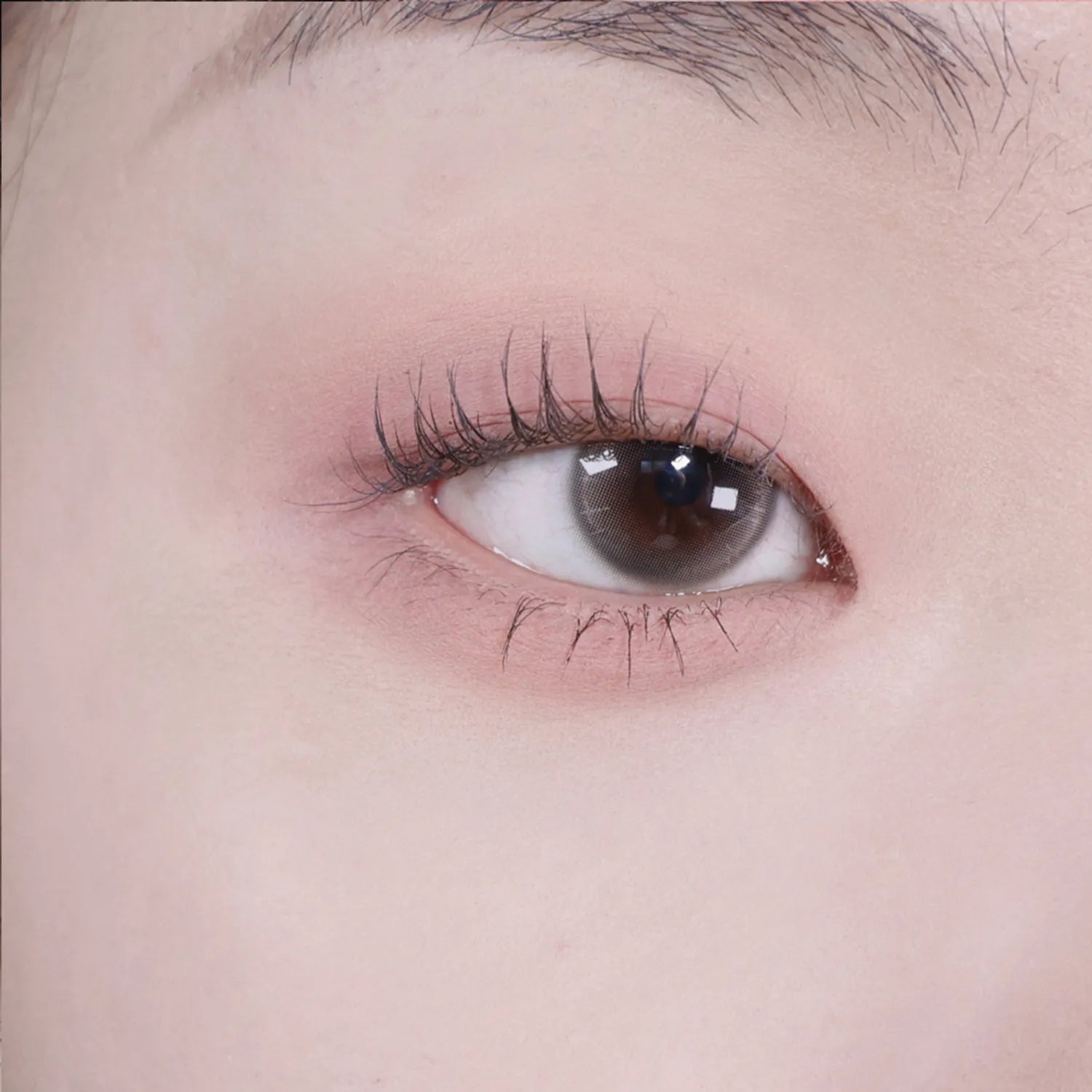 andear Single Eye Shadow (6 Colors)