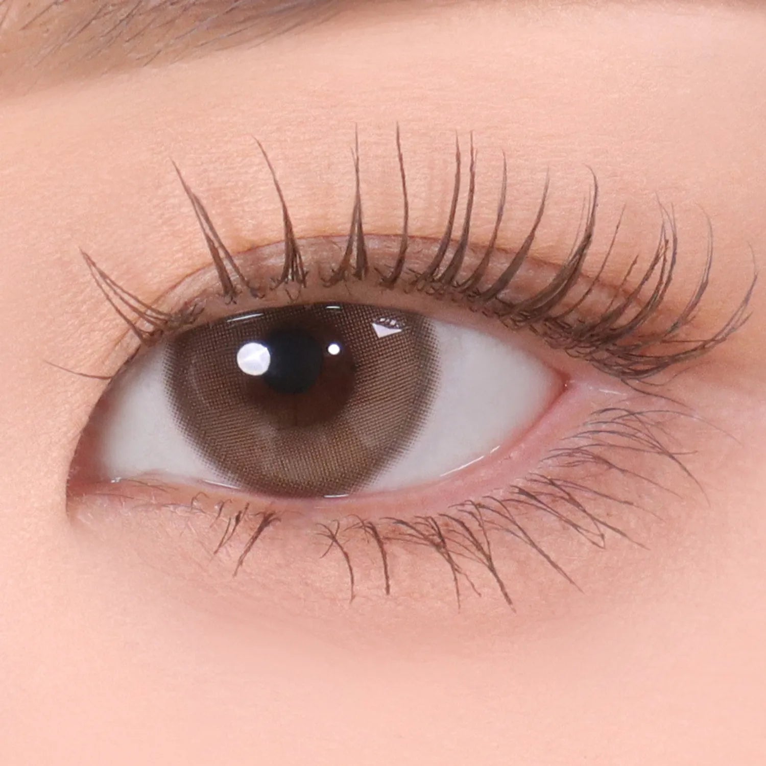 mude. Inspire Skinny Curling / Multi Fixer Mascara (12 Options)