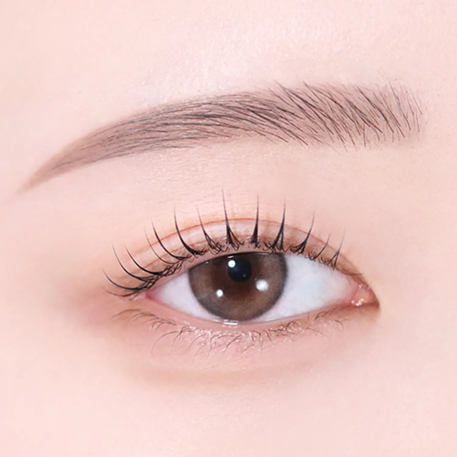 peripera Speedy Eyebrow Auto Pencil (5 Colors)