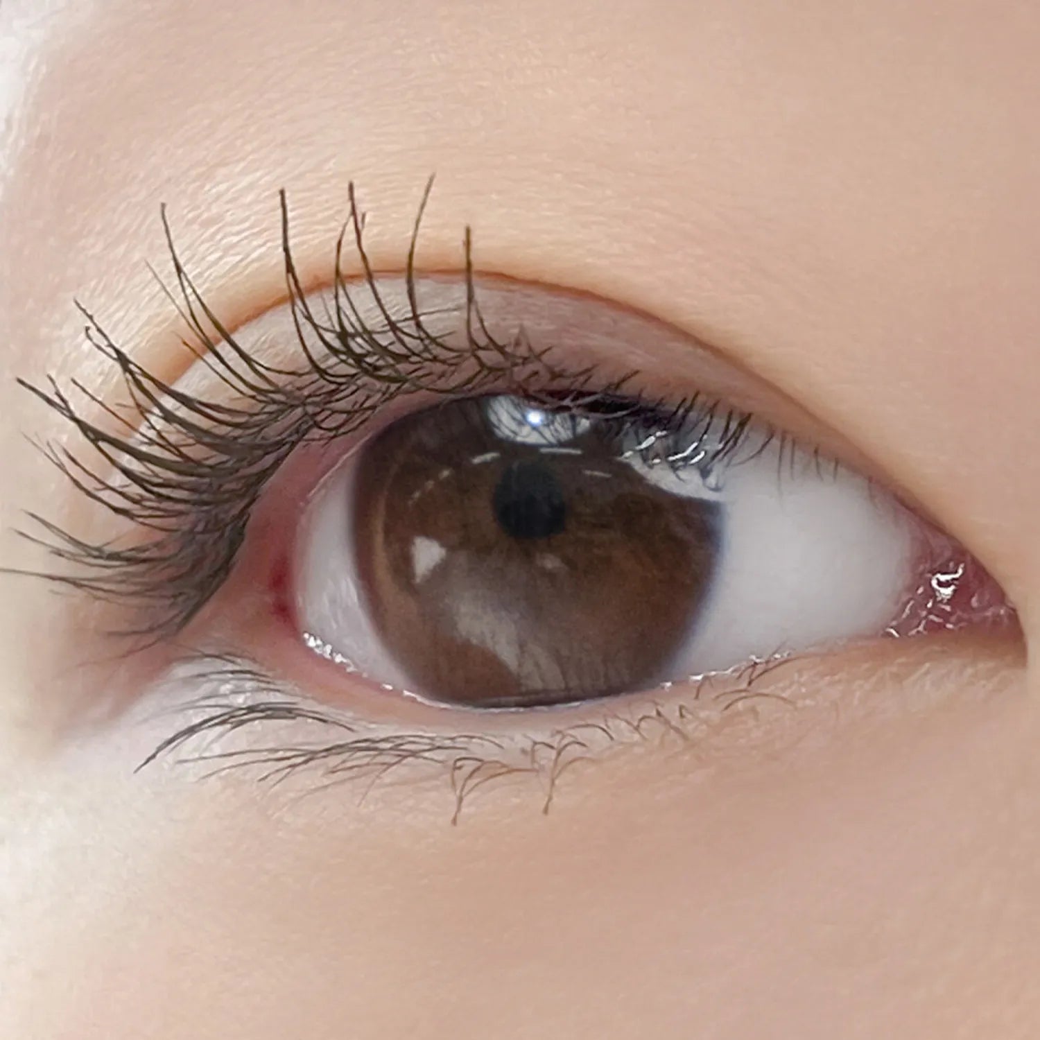 rom&nd Han All Fix Mascara 7g