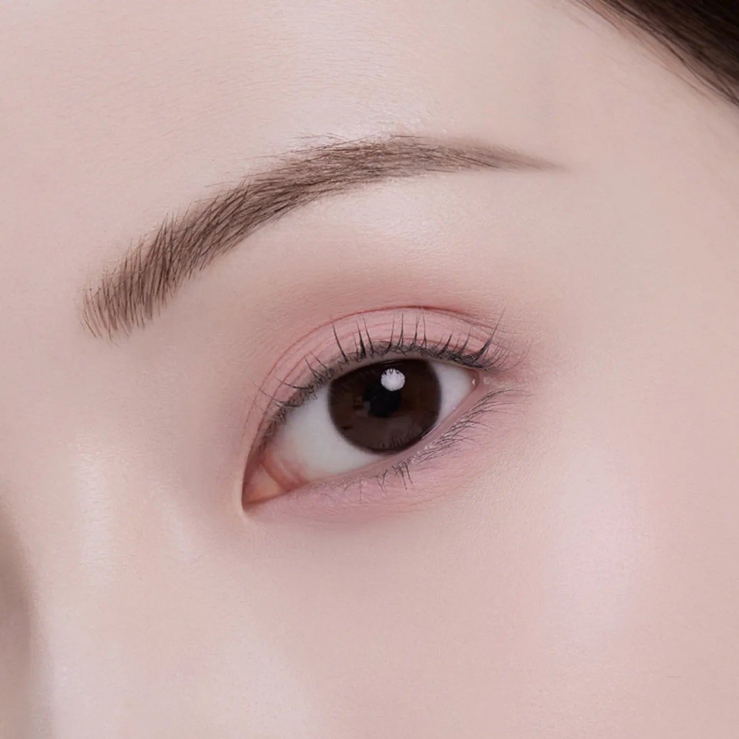 Ameli Step Basic Eyeshadow (12 Colors)