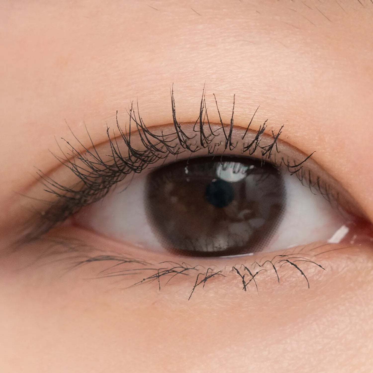 rom&nd Han All Fix Mascara 7g