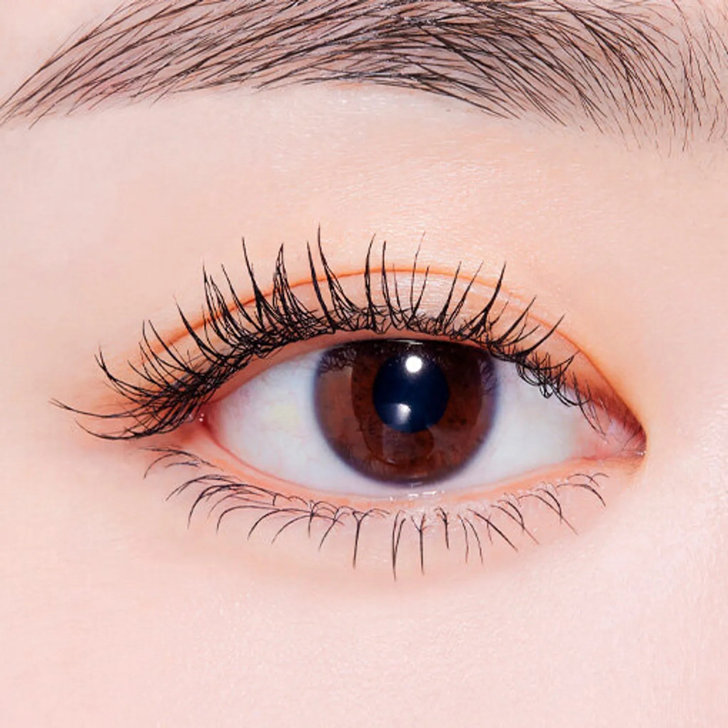 ETUDE Curl Fix Mascara (4 Colors)