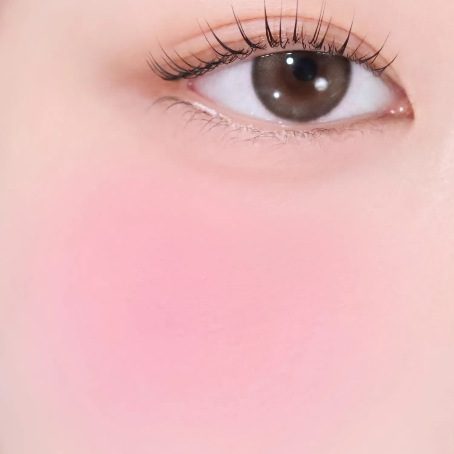 VDL Cheekstain Blusher (Set/Single) (17 Colors)