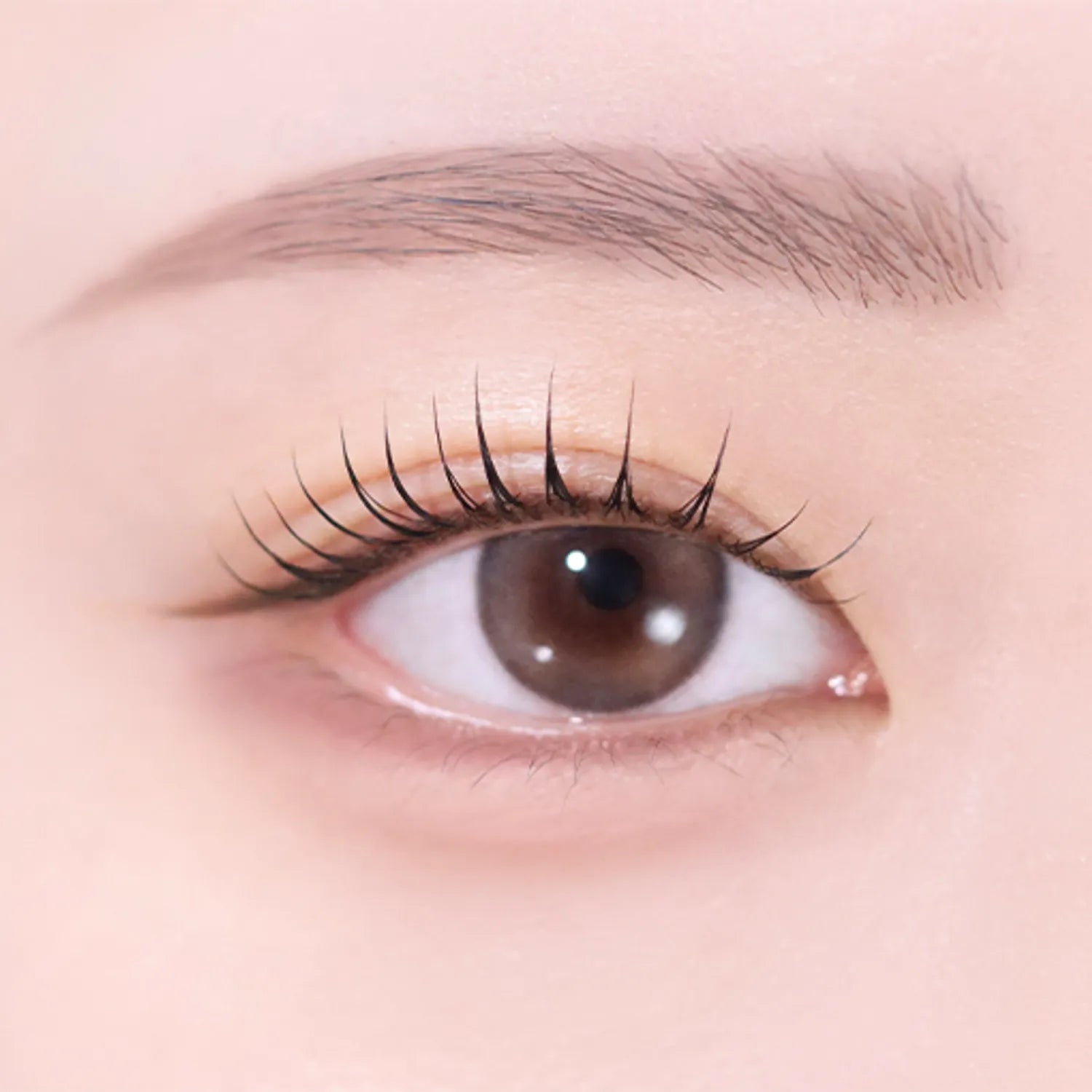 NAMING. Perpectail Eye Designing Pencil Slim Liner (Set/Single) (11 Colors)