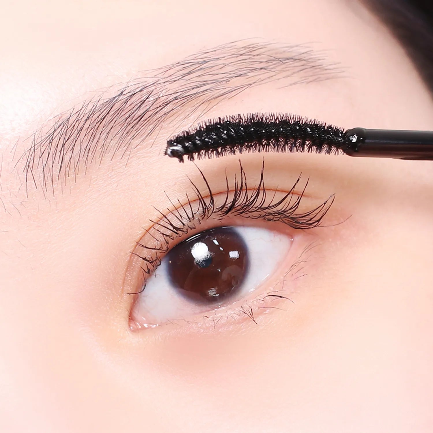 WAKEMAKE Strong Black Tinting Lash Ampoule