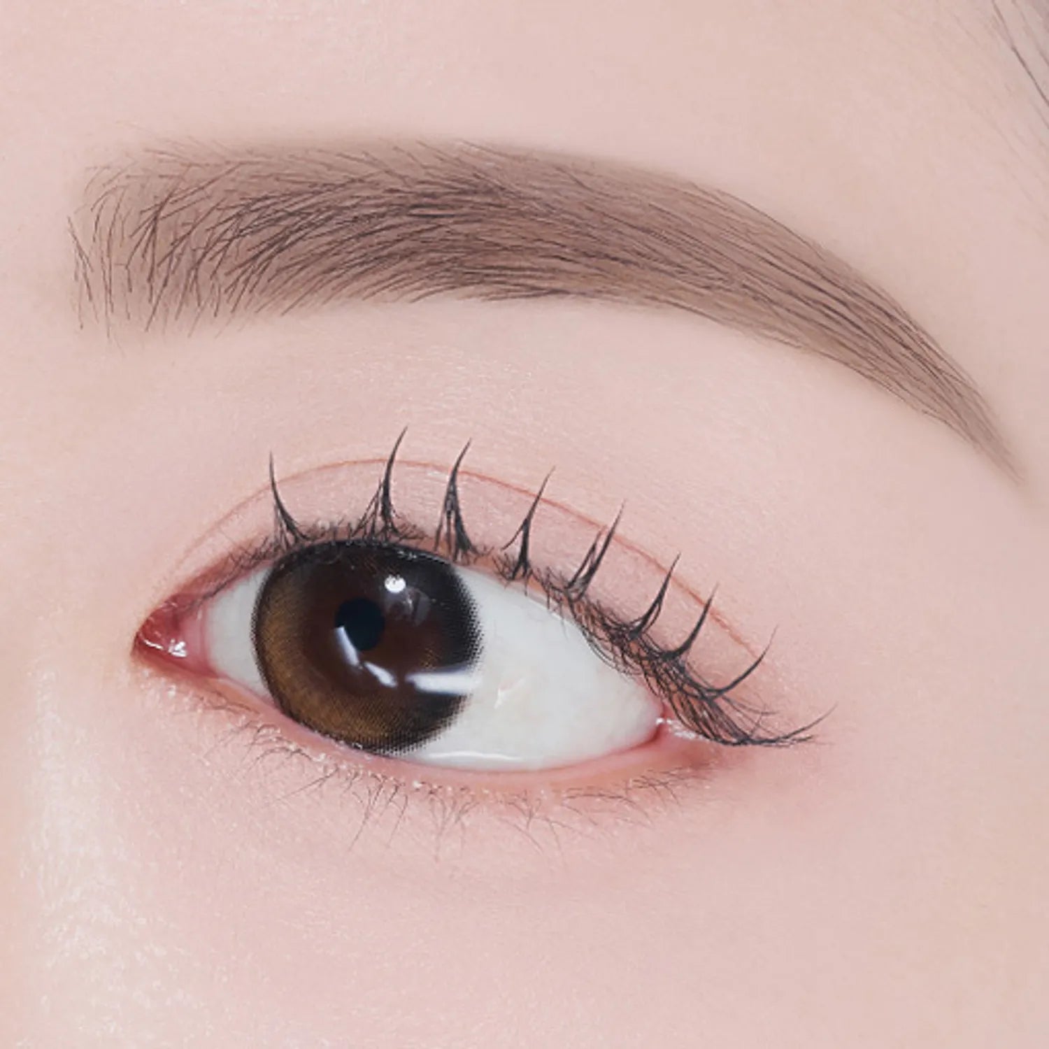 ETUDE Control Slide Brow 0.17g (5 Colors) (Set/Single)