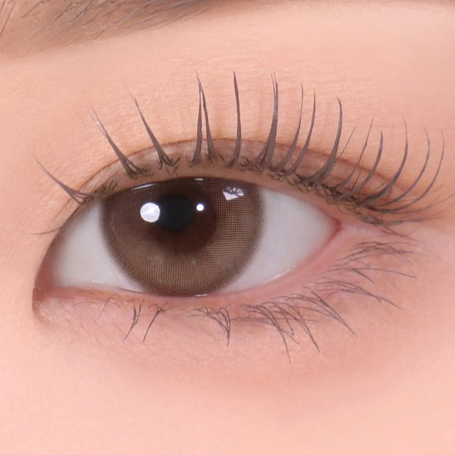 mude. Inspire Skinny Curling / Multi Fixer Mascara (12 Options)