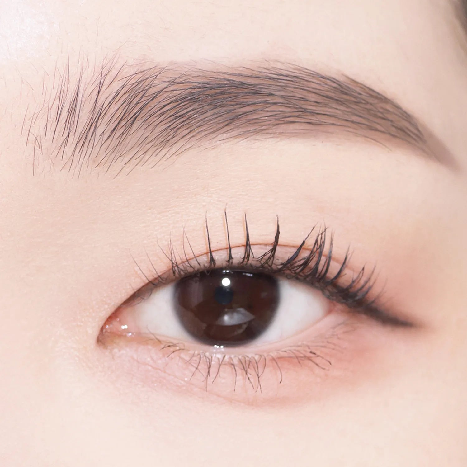 COSNORI Easy Draw Auto Eyebrow (5 Colors)