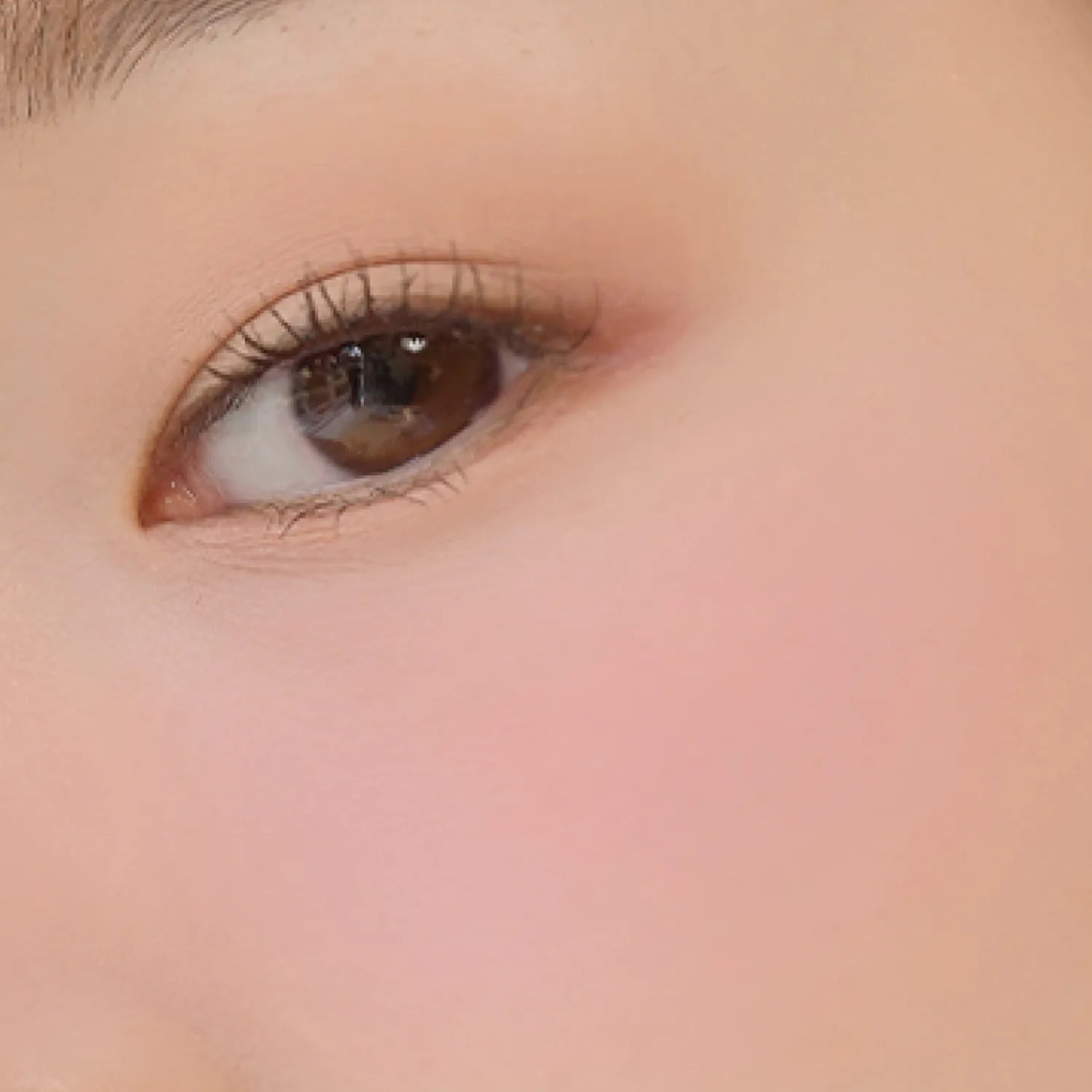 Dinto Blur Finish All That Moments Blusher 4.5g (8 Colors)