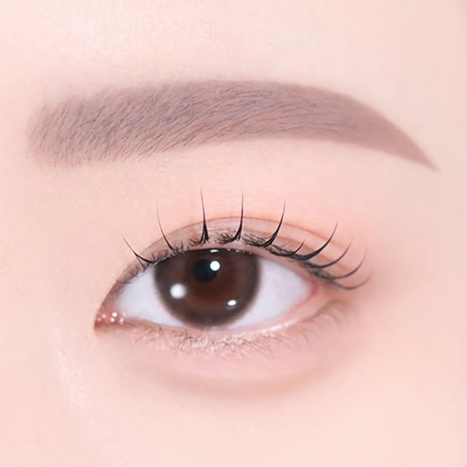 2aN Art Coloring Brow Cara (4 Colors)
