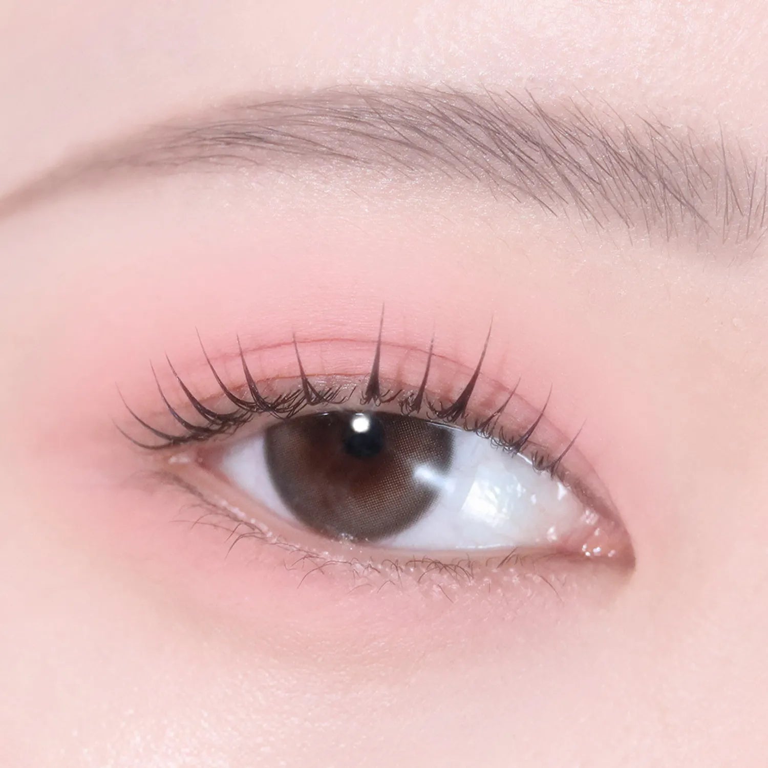 hince Single Eyeshadow (25 Colors)