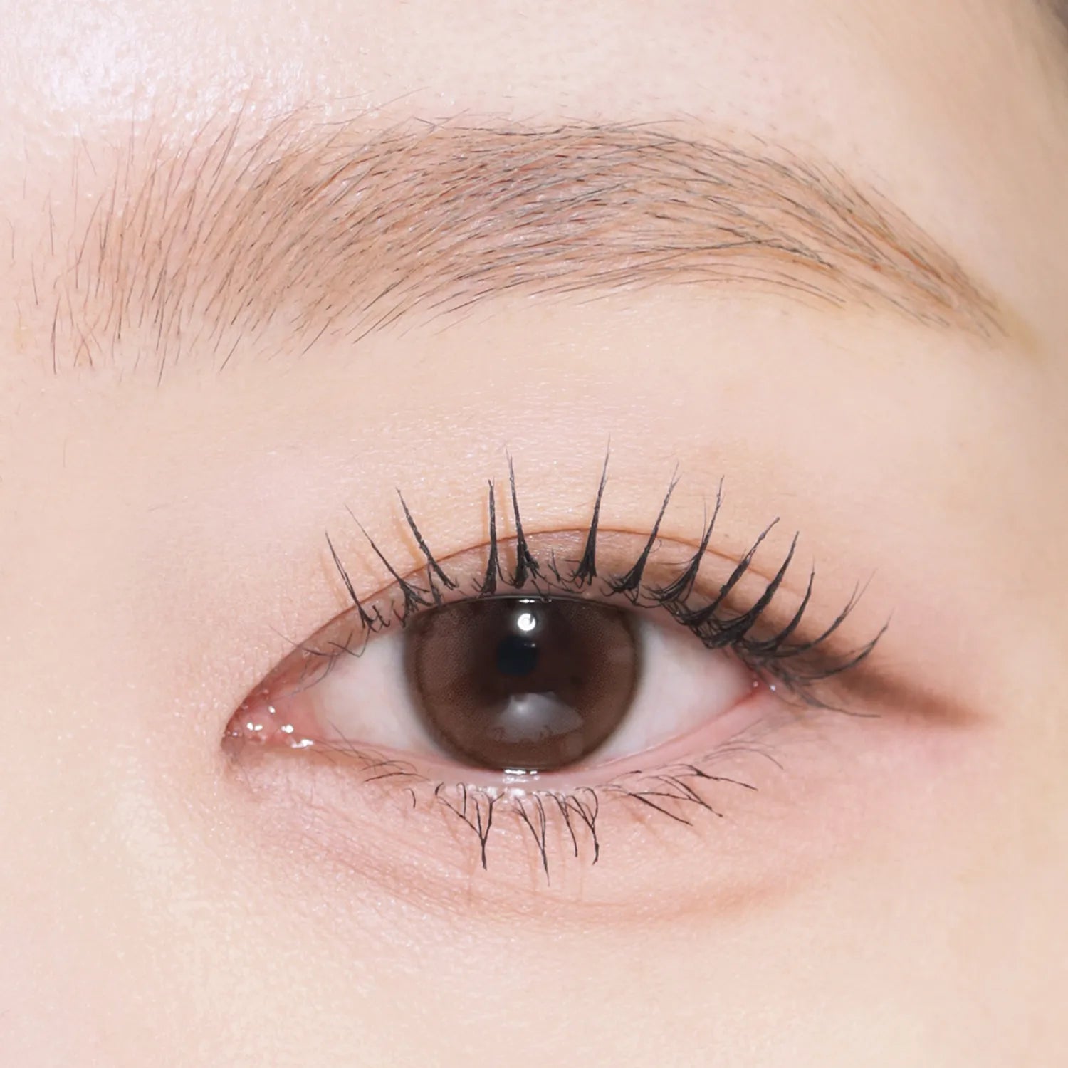 mude. Inspire Skinny Brow Cara (10 Colors)