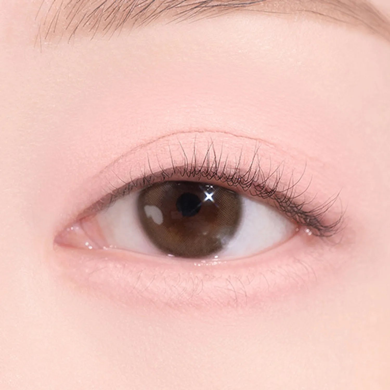 dasique Blooming Single Shadow (9 Colors)